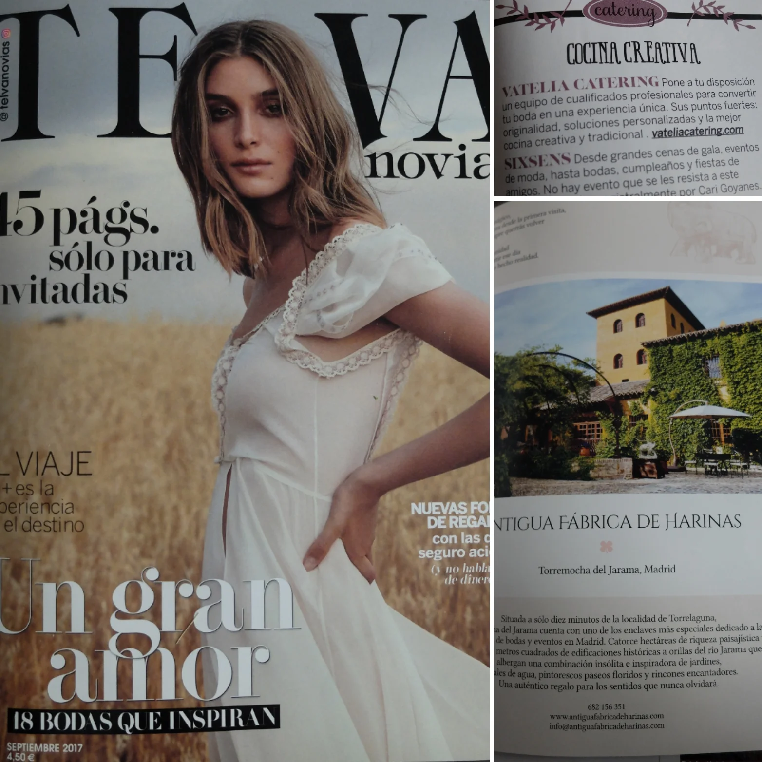 4 TELVA Sept 2017.jpg