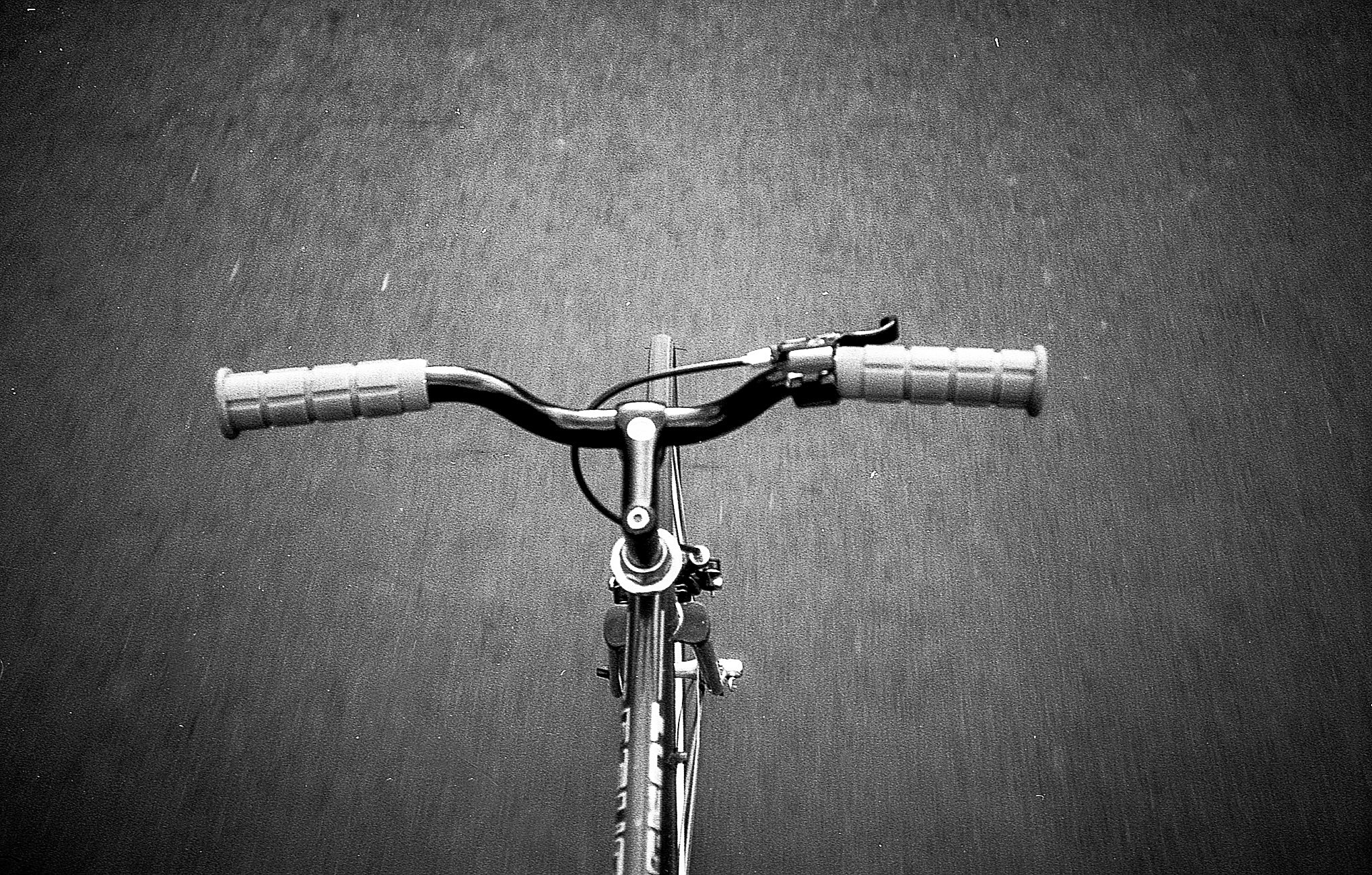 Foma014.jpg