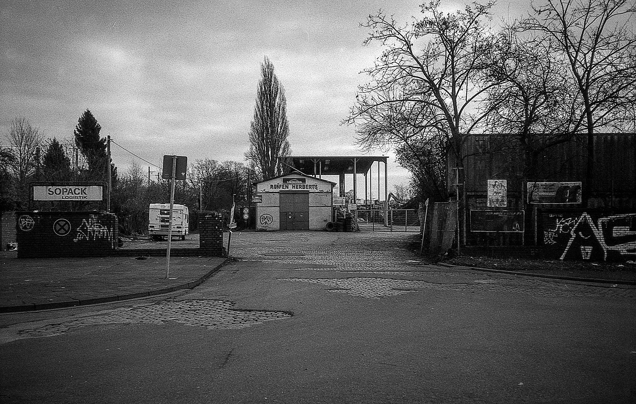 Foma015.jpg