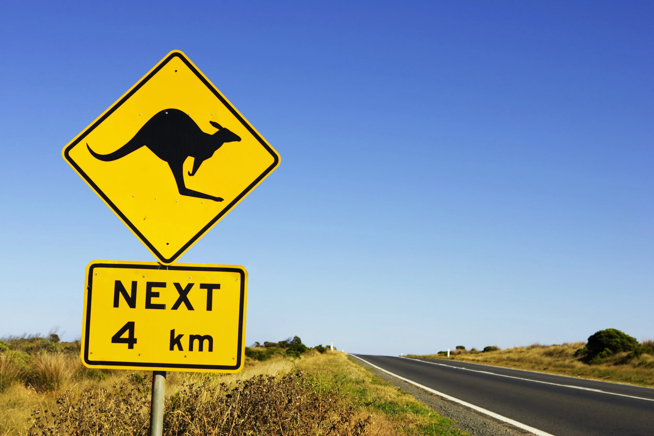 kangaroo-road-sign.jpg