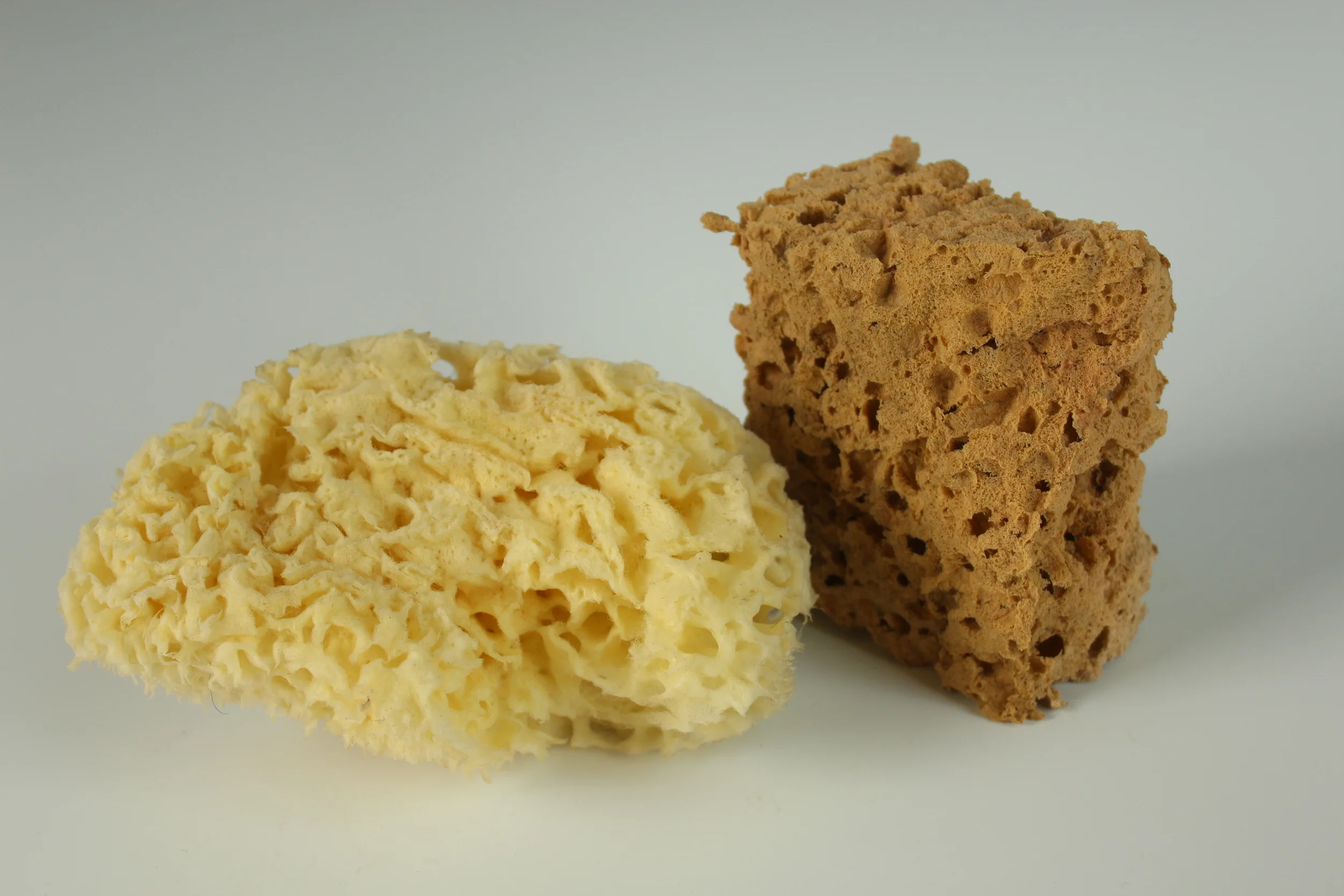 Opération "Éponges usagées"