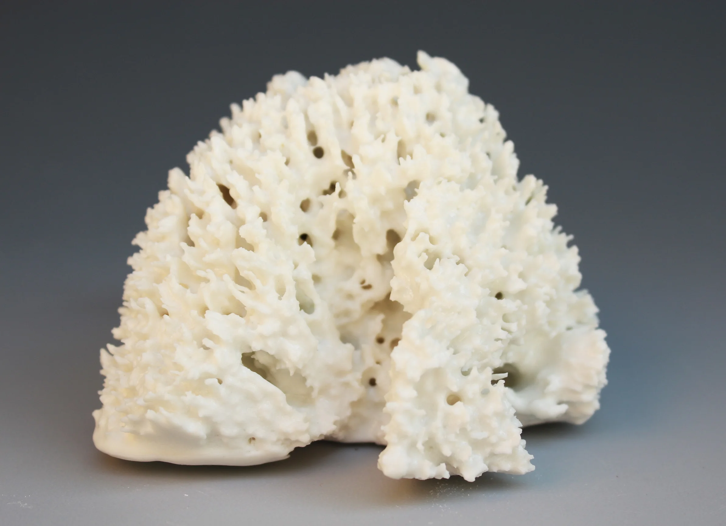 Exposition "Merveilleux quotidien" au Centre Culturel de Hotton (BE)