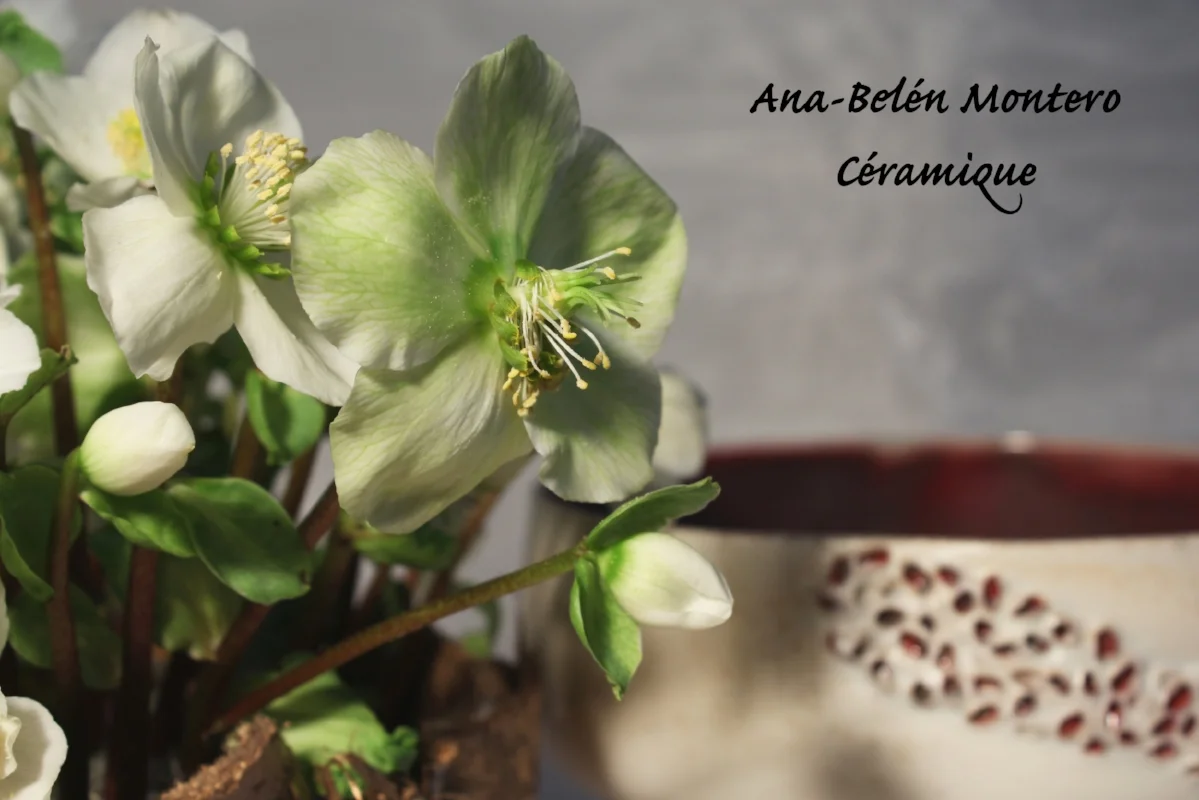 Mis mejores deseos de felicidad para 2017