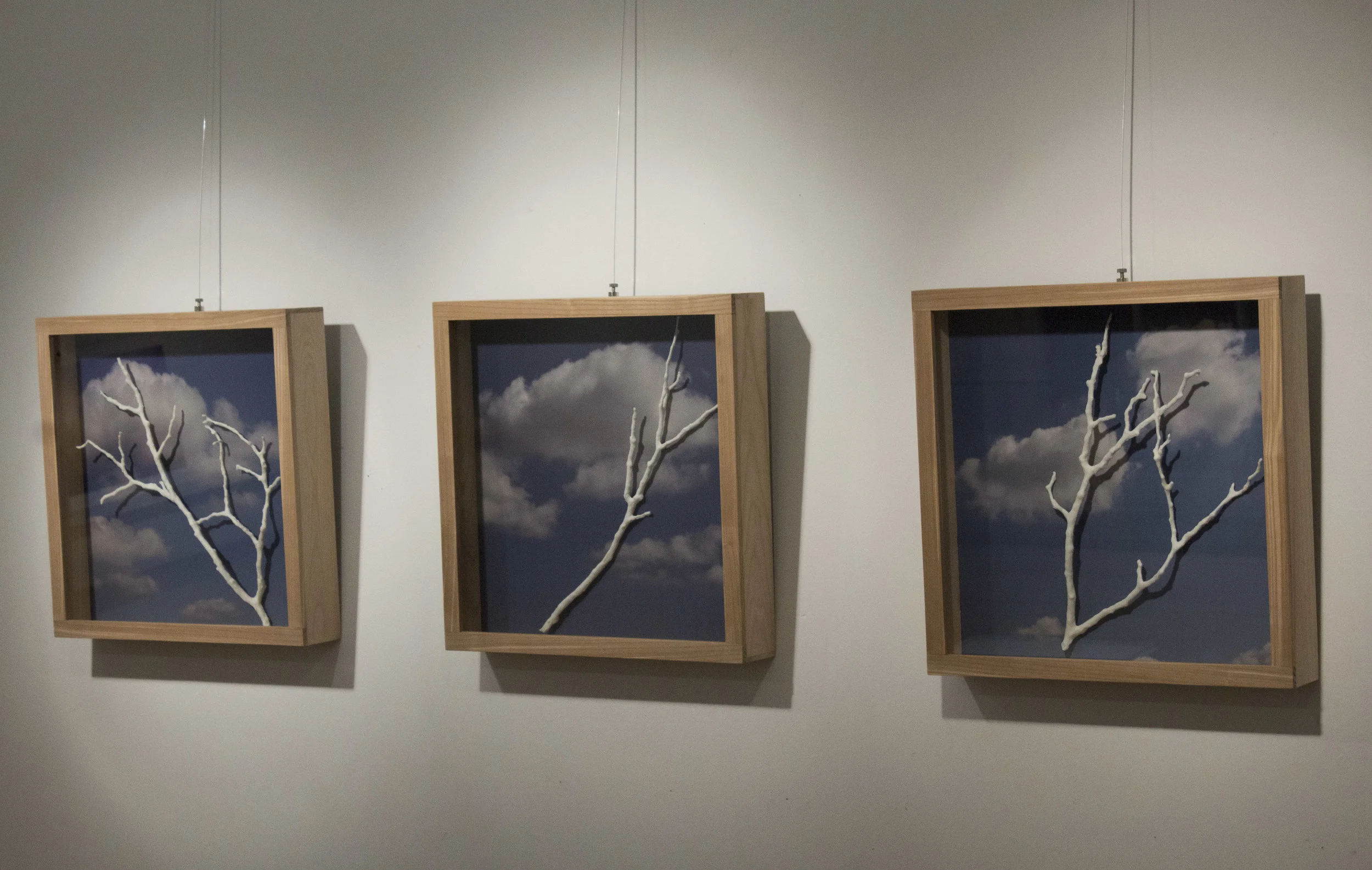  "Live in a box", paper porcelain with addition of organic material, photo, wood, glass (2017) 