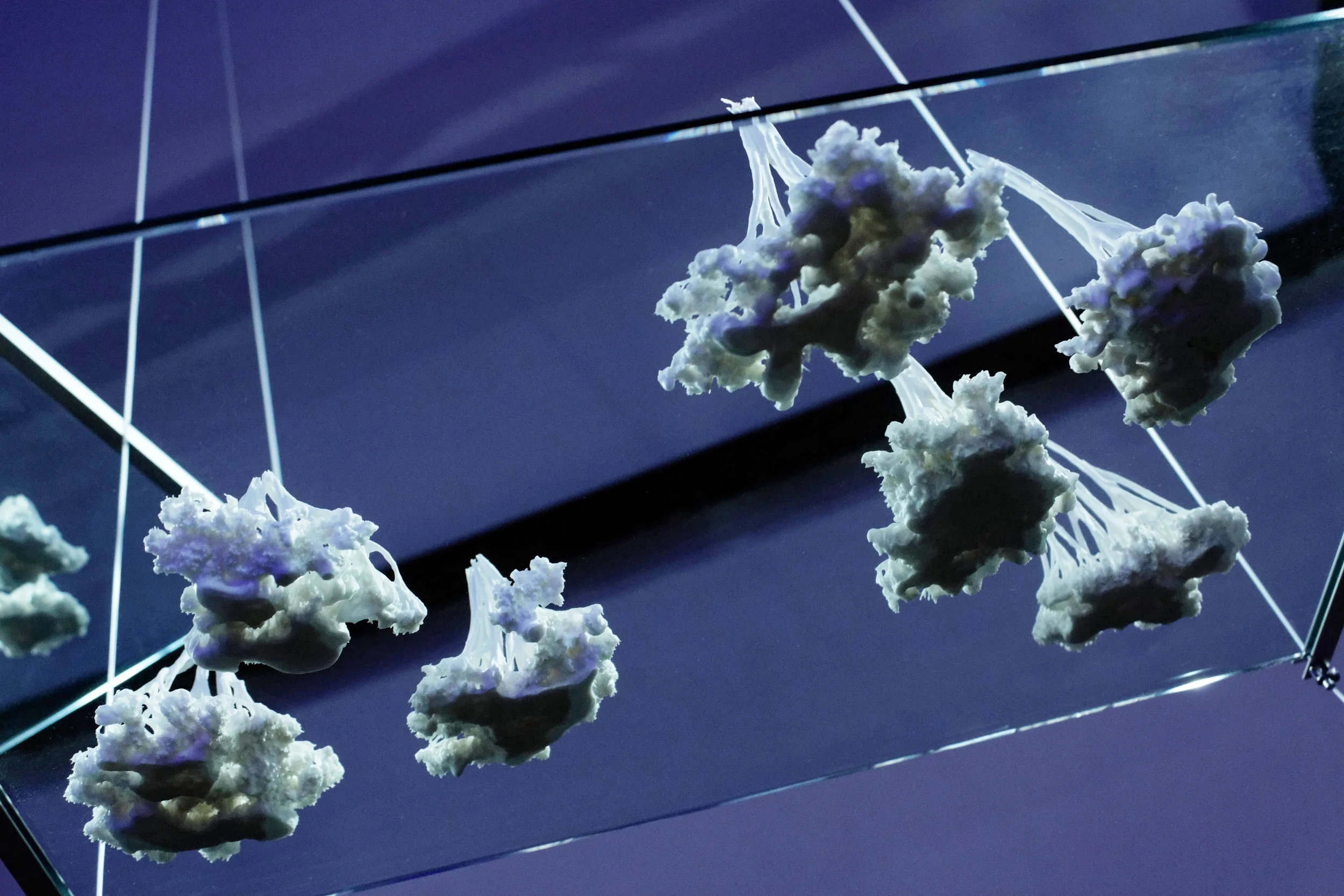 Flowerclouds - installation. Porcelain, porcelain with organic material (detail) - 2017