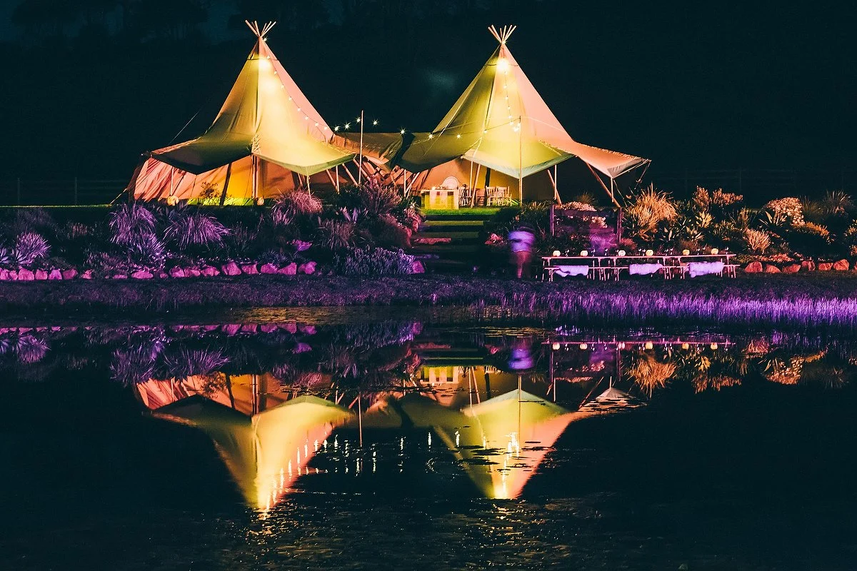 Forget Me Not Farm Byron Bay985.JPG