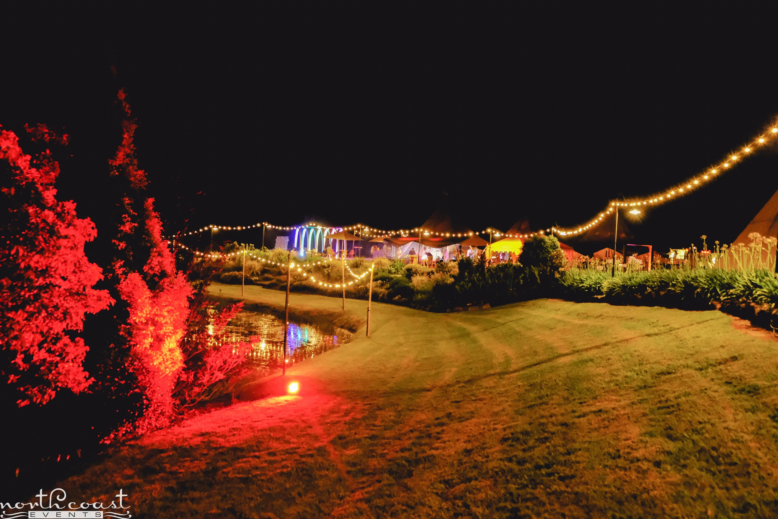 DSCF6390.jpg