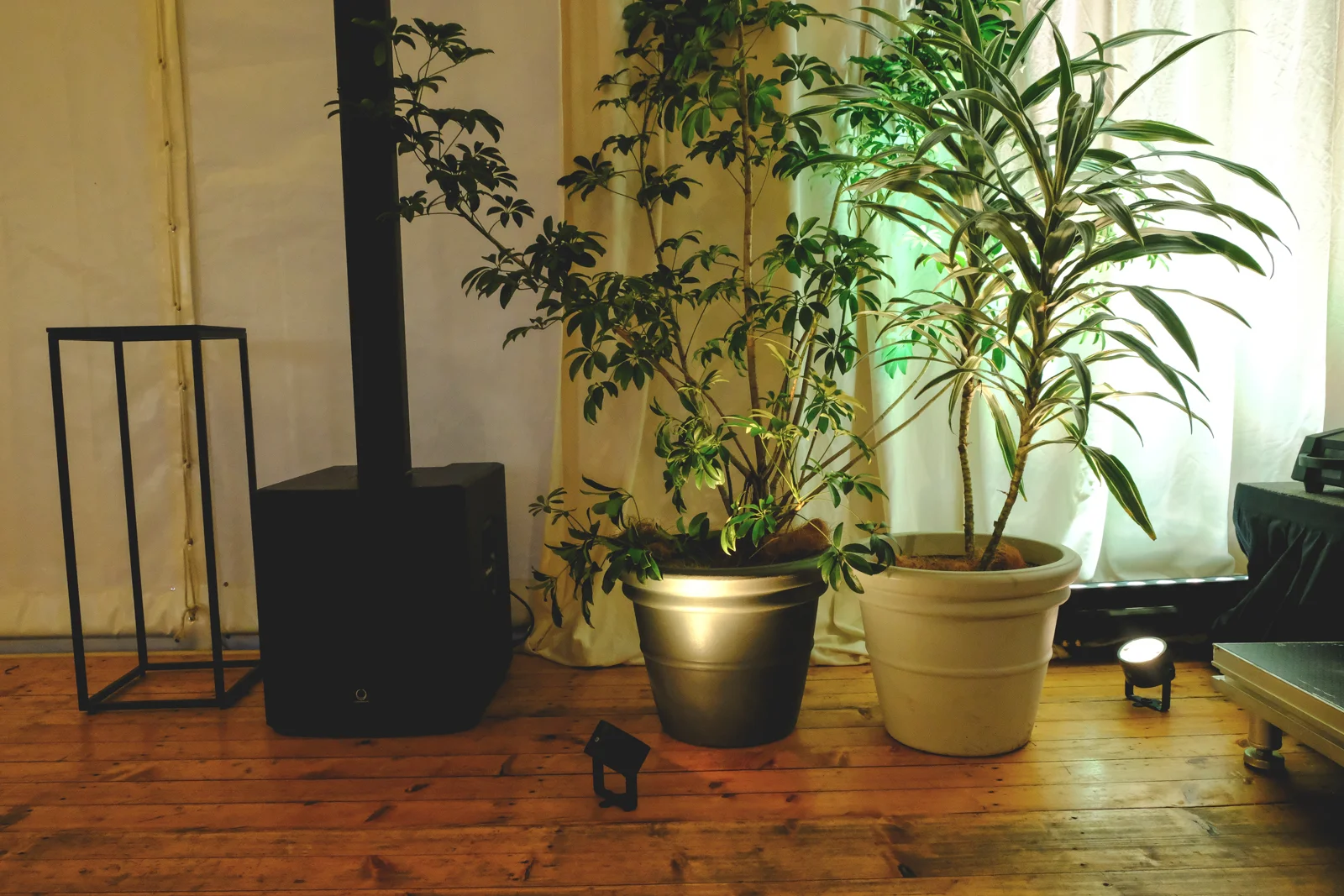DSCF6151.jpg