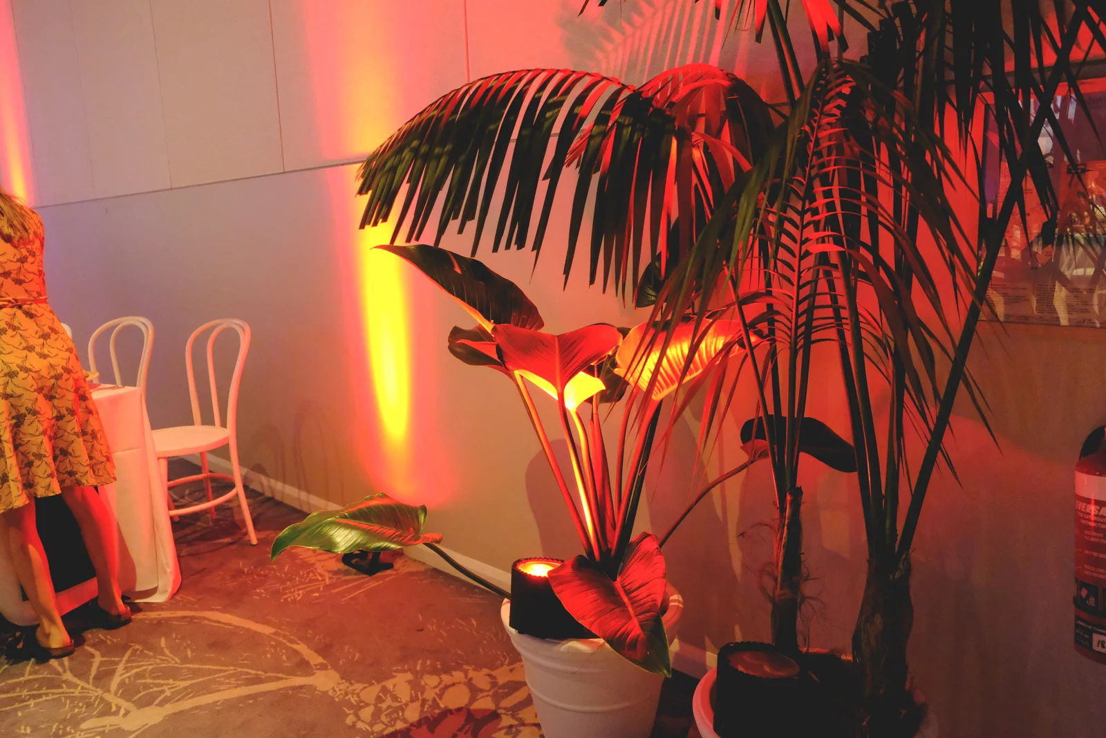 DSCF6465.jpg