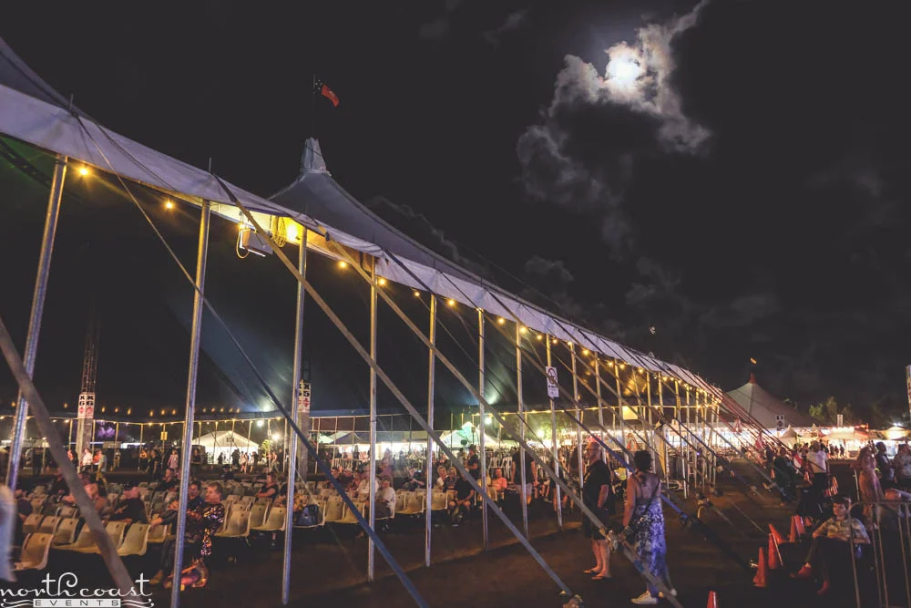 blues fest 2018-12.jpg