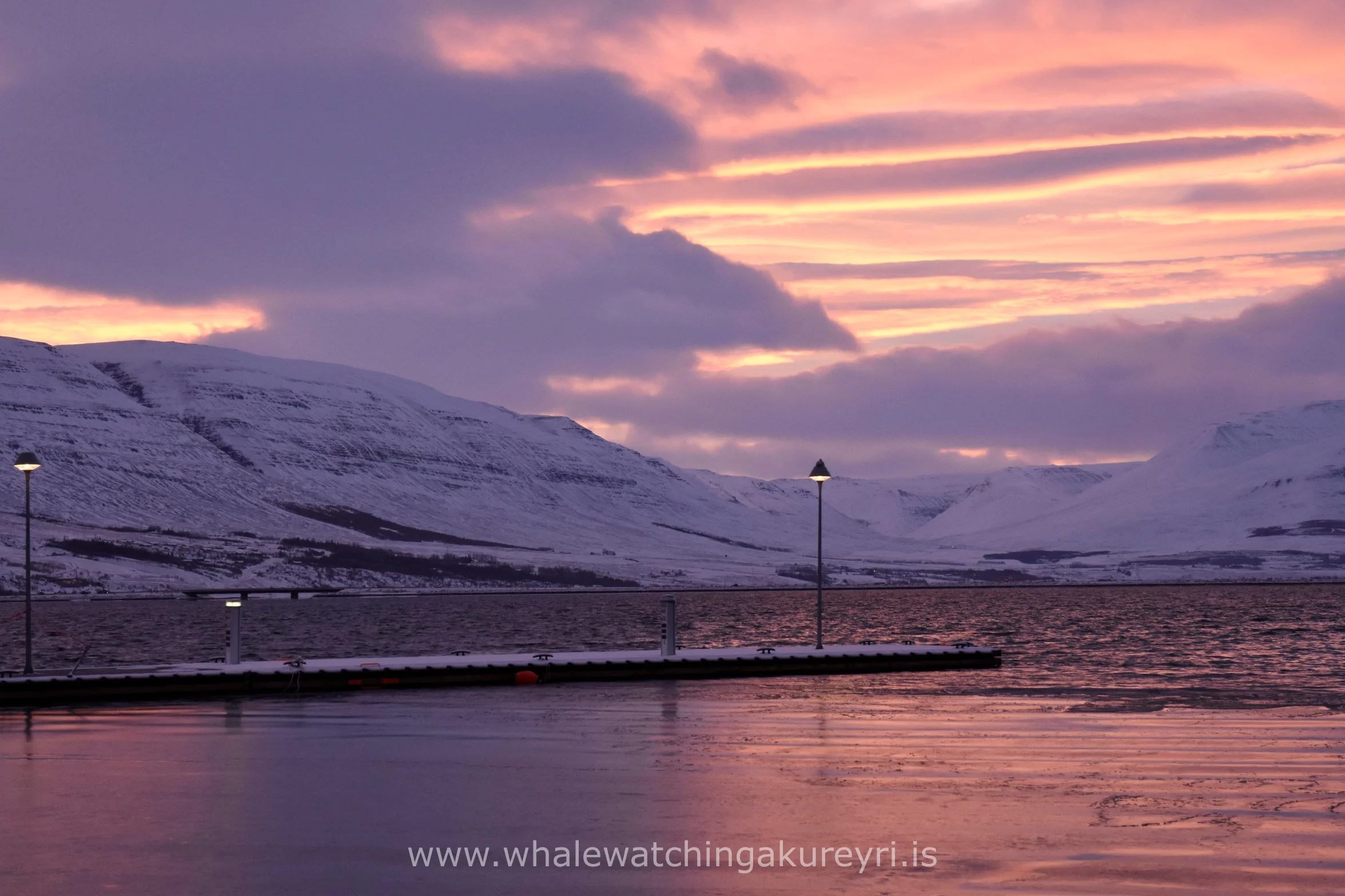 2017_01_20_1100_SKR_Megan 1.JPG