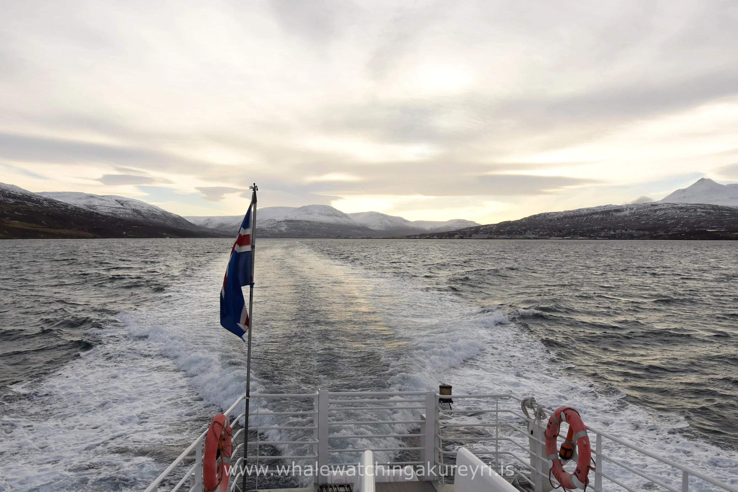 2017_02_04_1100_SKR_WW_Megan 1.JPG