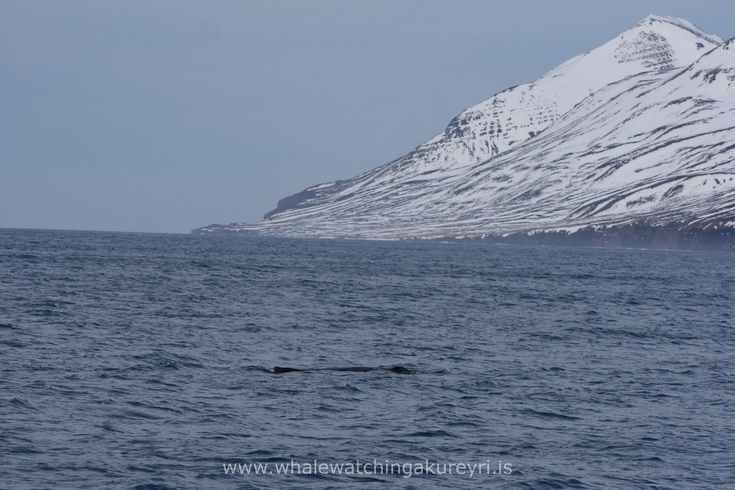 2017_02_04_1100_SKR_WW_Megan 4.JPG