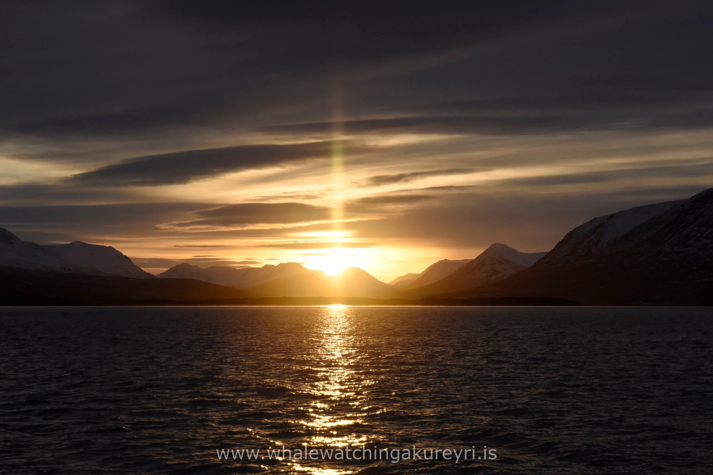 2017_02_04_1100_SKR_WW_Megan 8.JPG