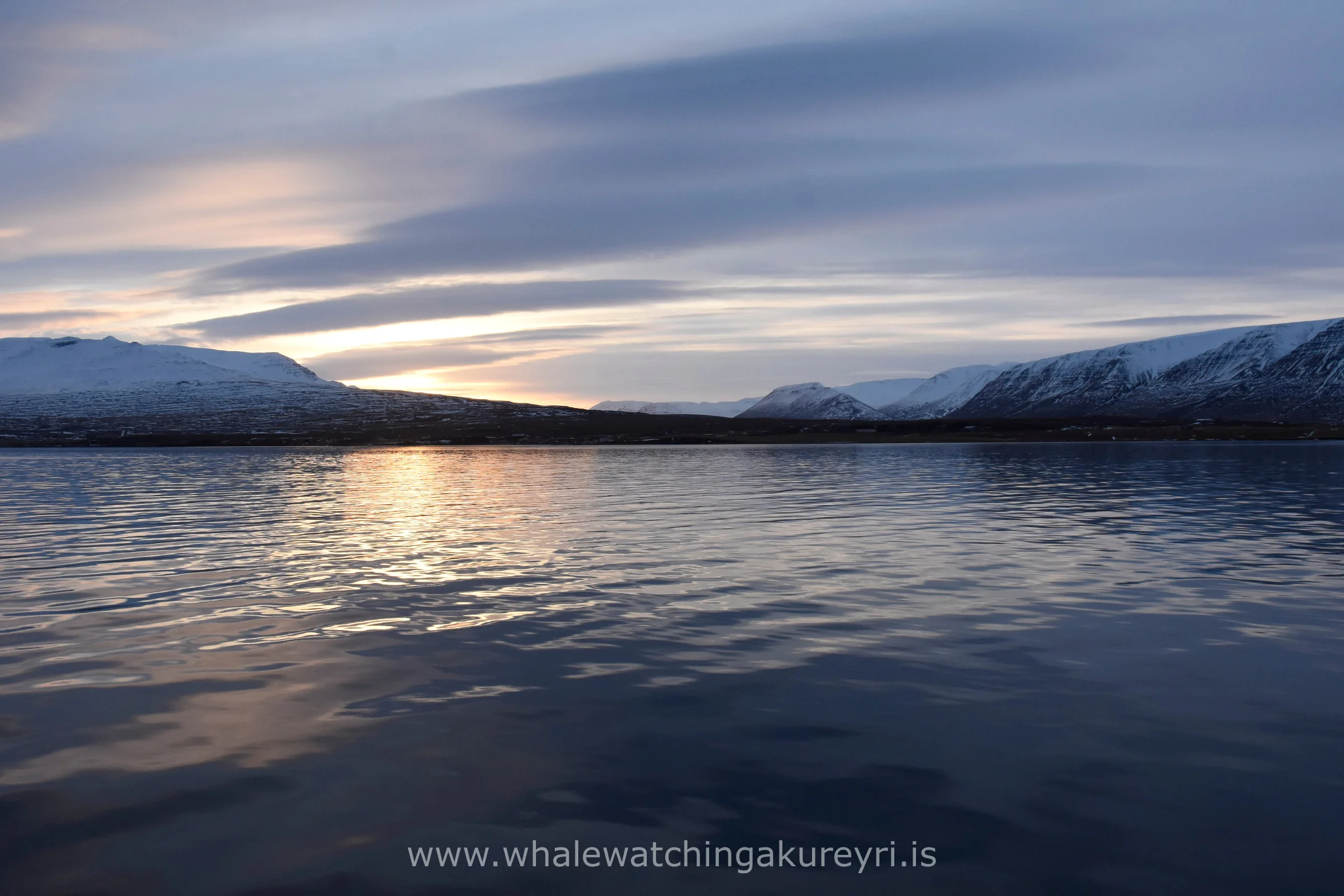 2017_02_04_1100_SKR_WW_Megan 13.JPG