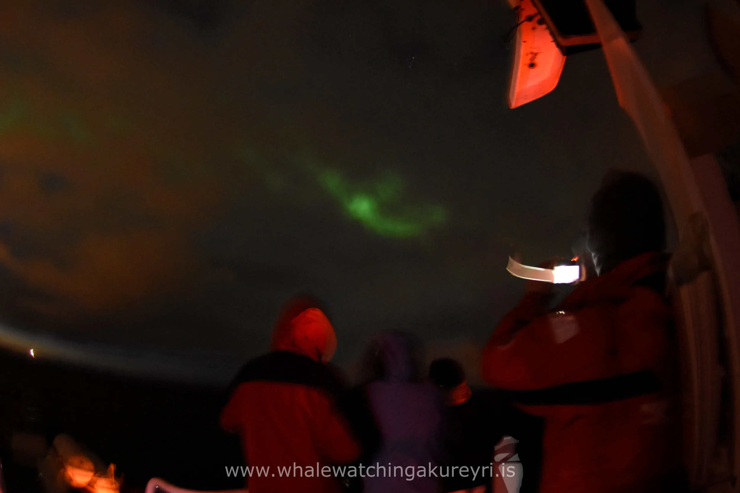 2017_03_17_2100_ELDG_NL_Megan 1.JPG