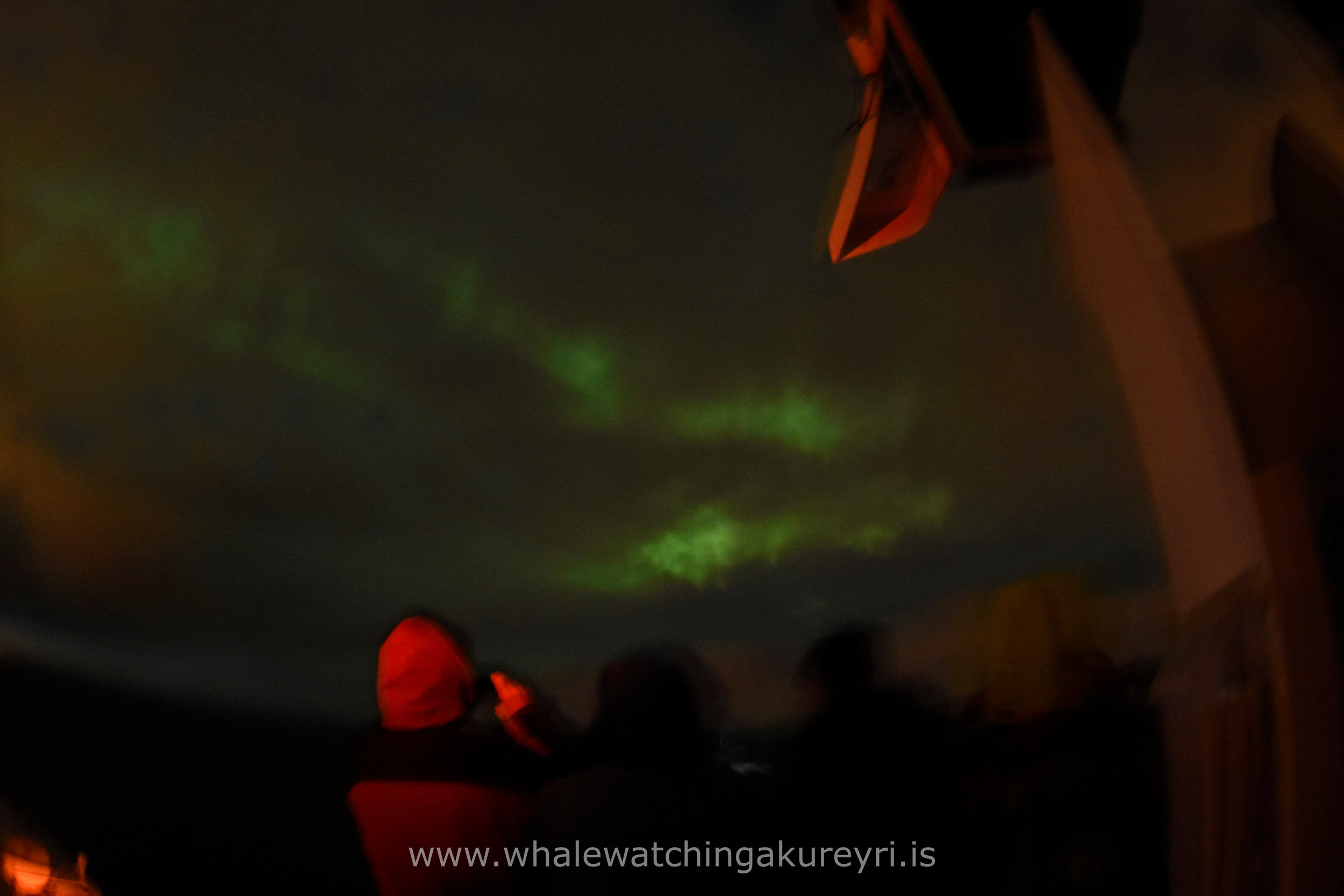 2017_03_17_2100_ELDG_NL_Megan 2.JPG