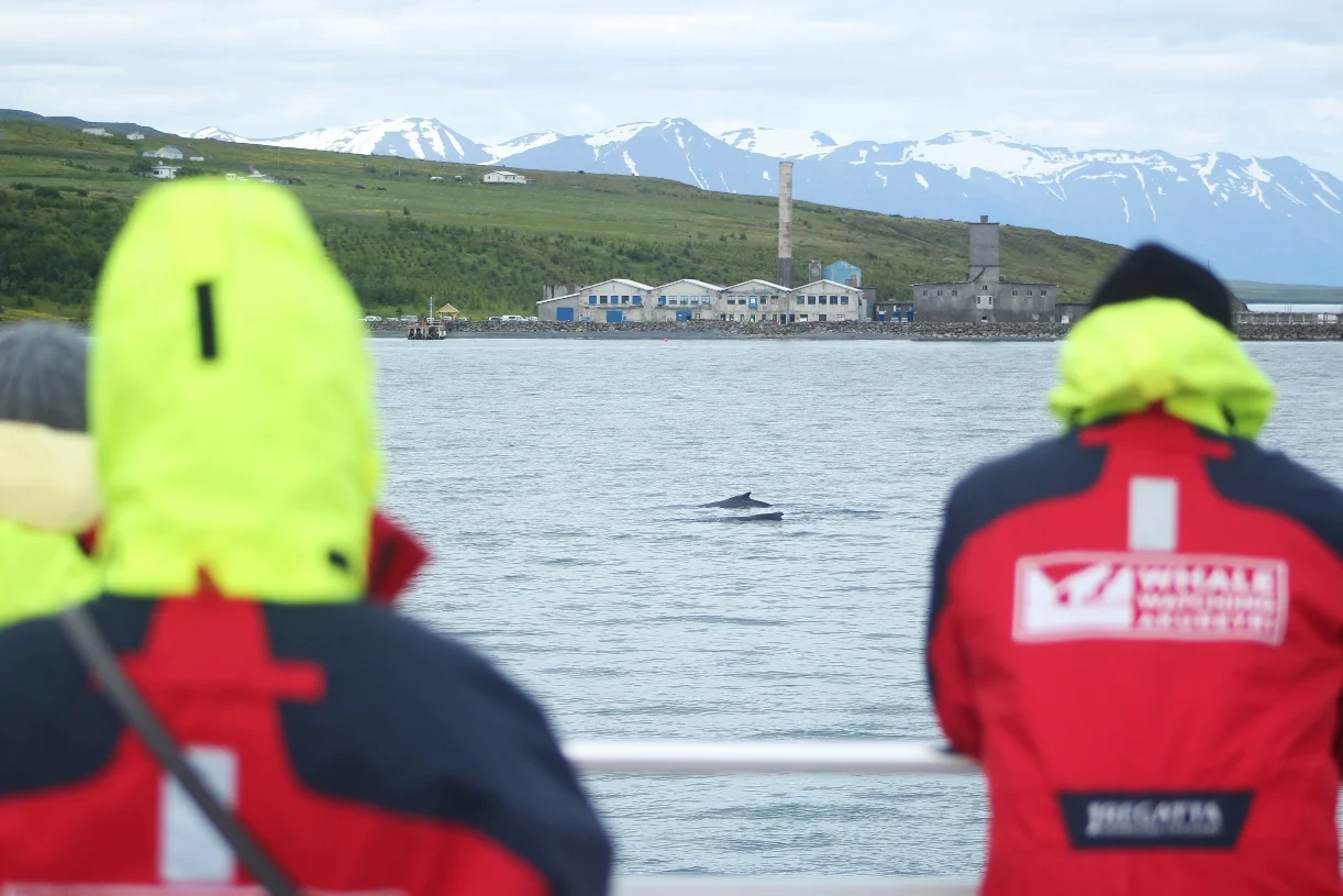 2017_07_07_1300_HOL_GUILLAUME (61).JPG