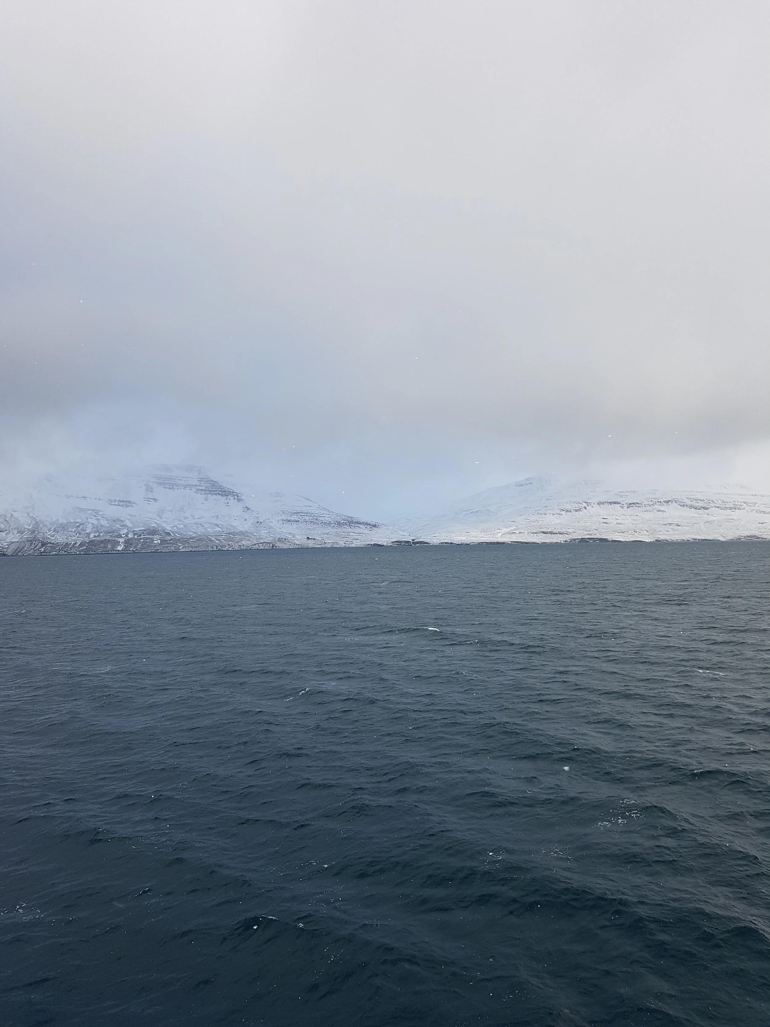 20180302_155645.jpg