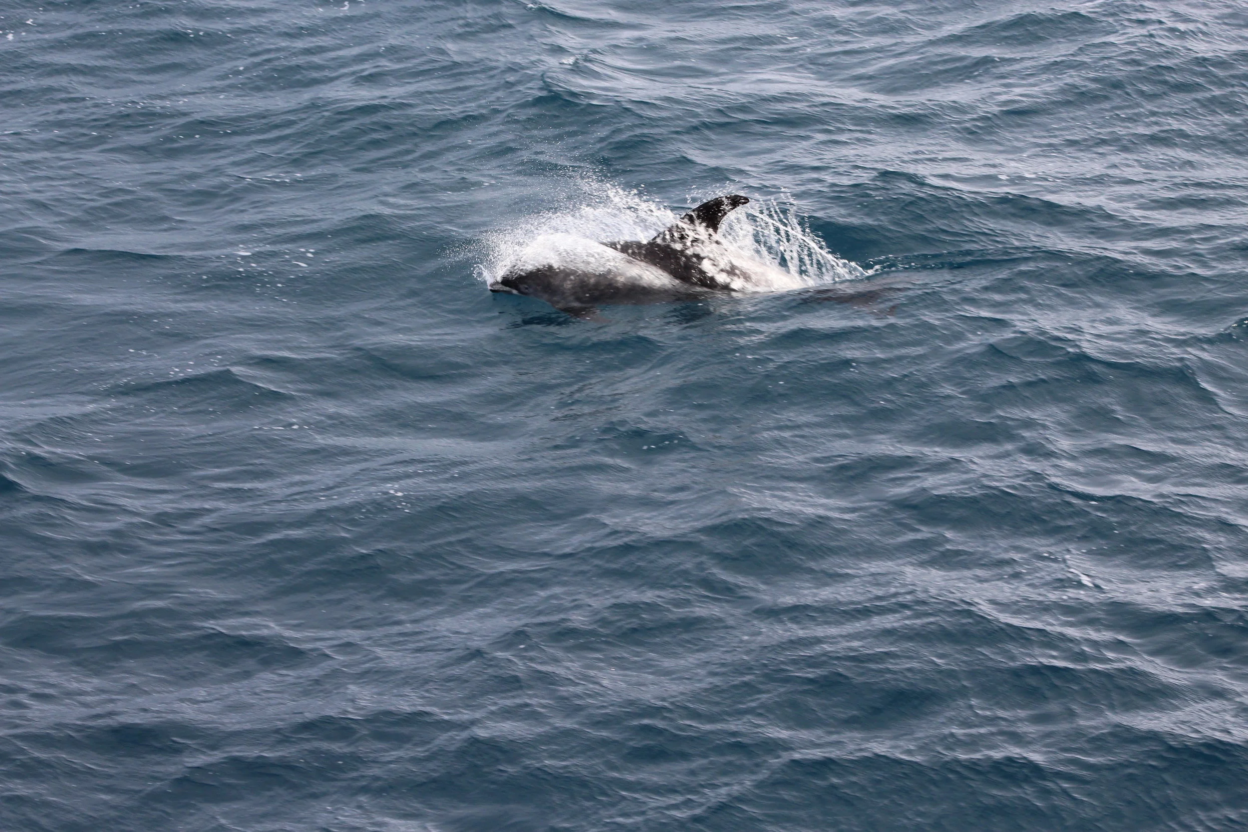 2018_03_10_1300_HOL_Anna (14).JPG