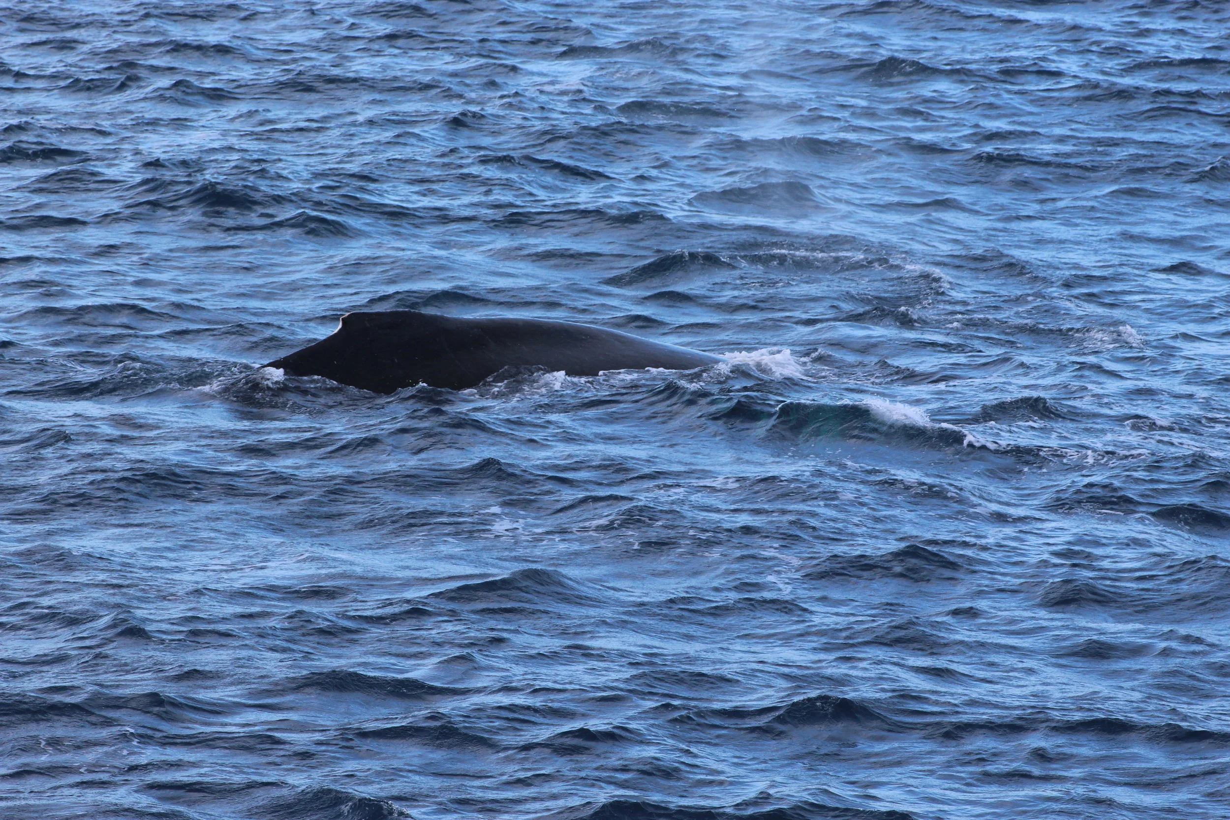 2018_03_10_1300_HOL_Anna (19).JPG