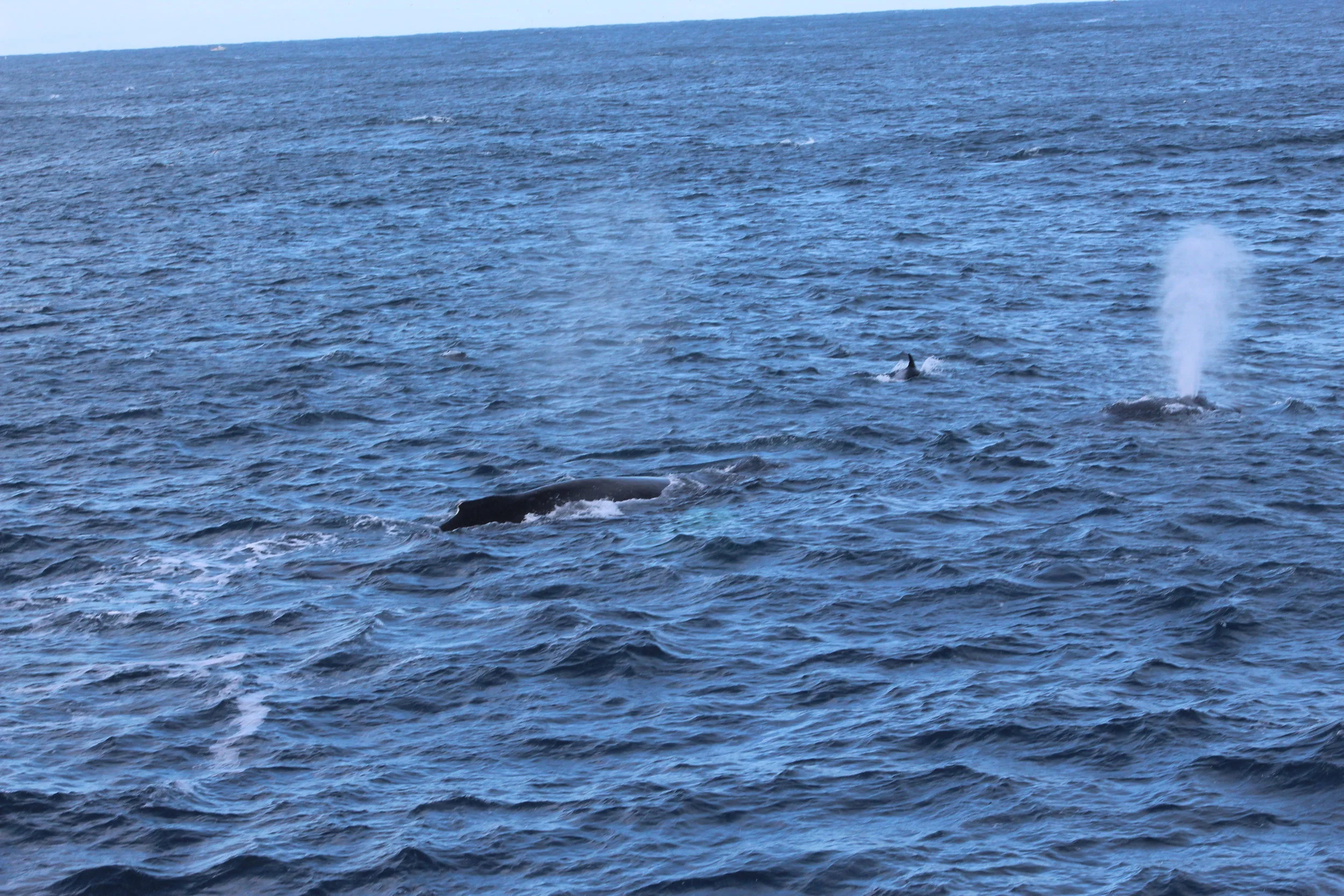 2018_03_10_1300_HOL_Anna (25).JPG