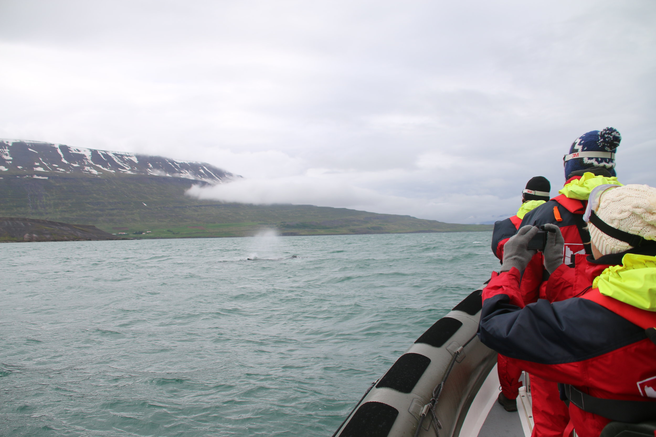 2018_06_11_1400_DIP_BABSI (96).JPG