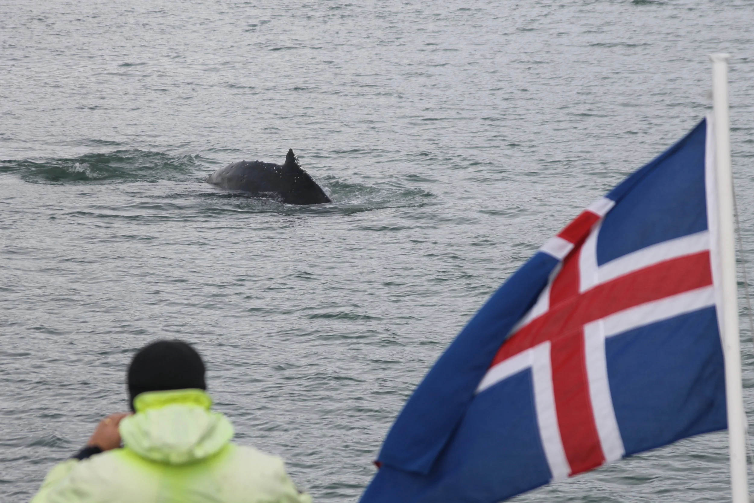 2018_06_12_0900_KON_TESS (97).JPG