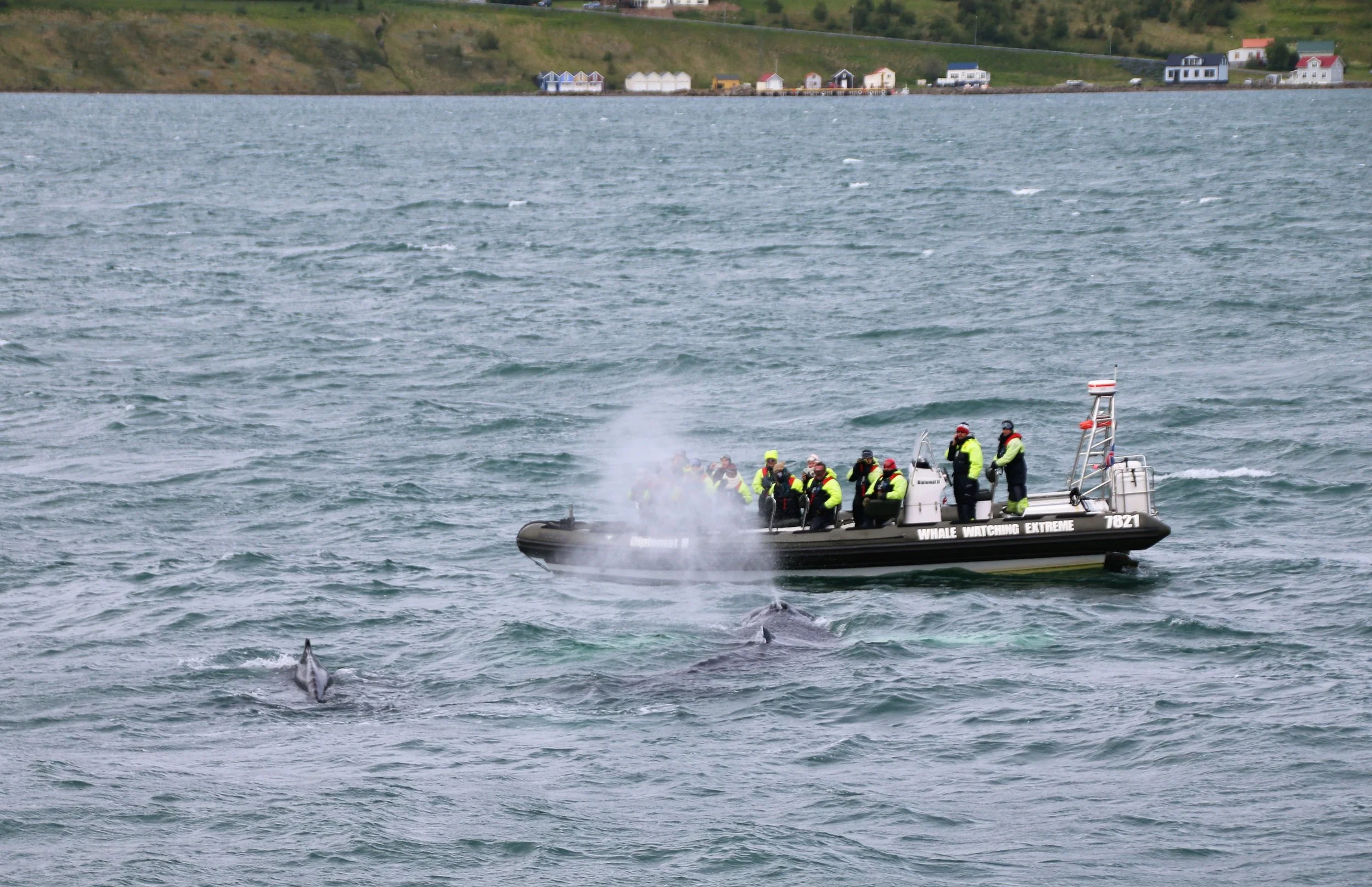 2018_06_15_0900_HOL_BABSI (72).JPG