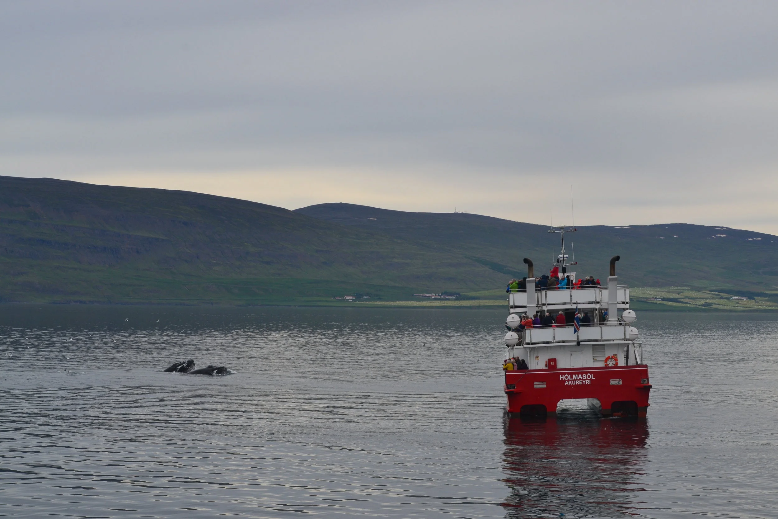 2018_06_23_AMB_0900_Liza (2).JPG