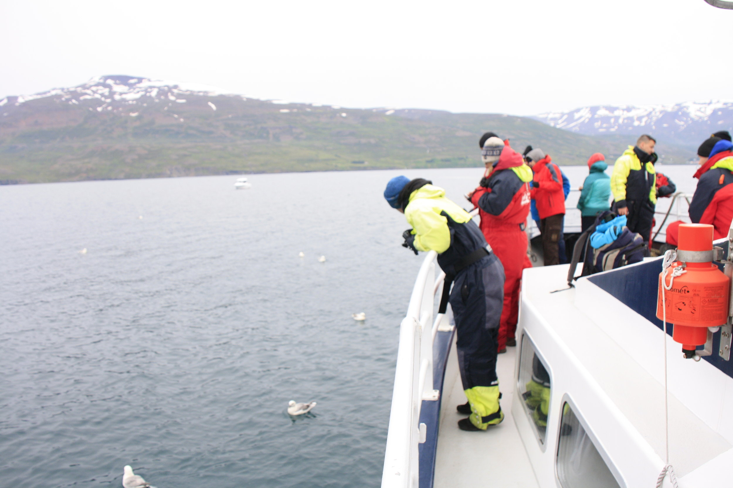 2018_07_20_0900_KON_Albert (6).JPG