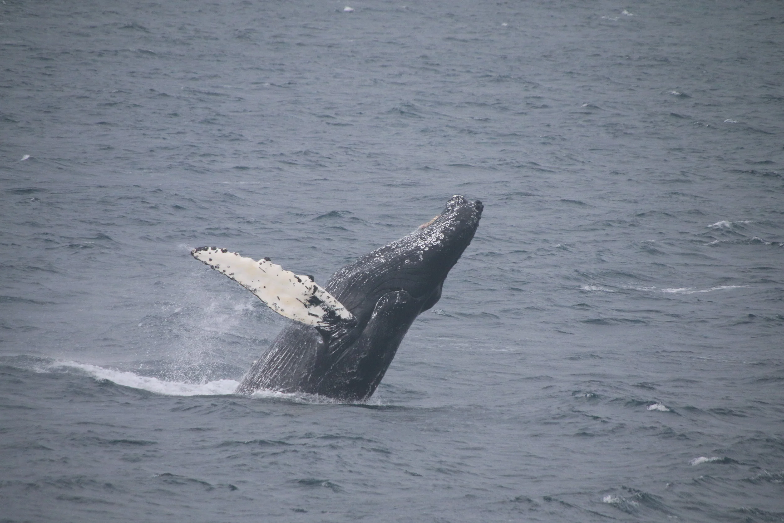 2018_07_28_HOL (137).JPG