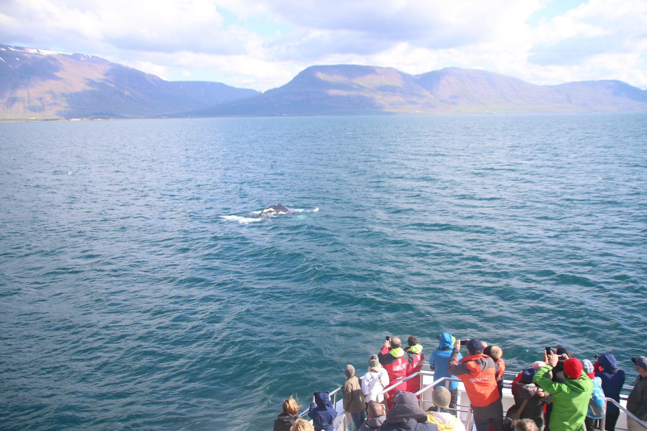 2018_08_13_1300_HOL_BABSI (49).JPG