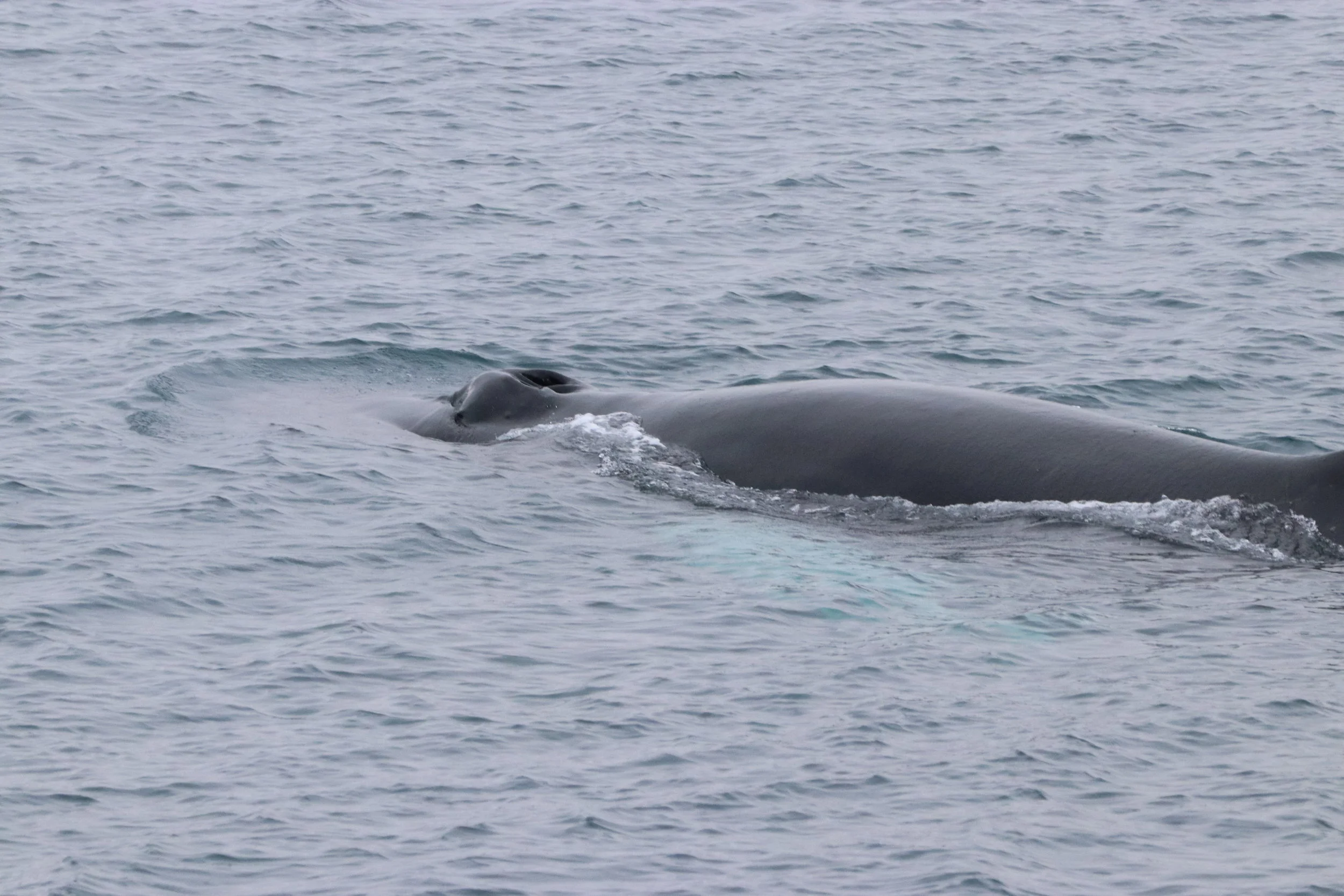 2019_03_01_1300_HOL_ALBERTO (2).JPG