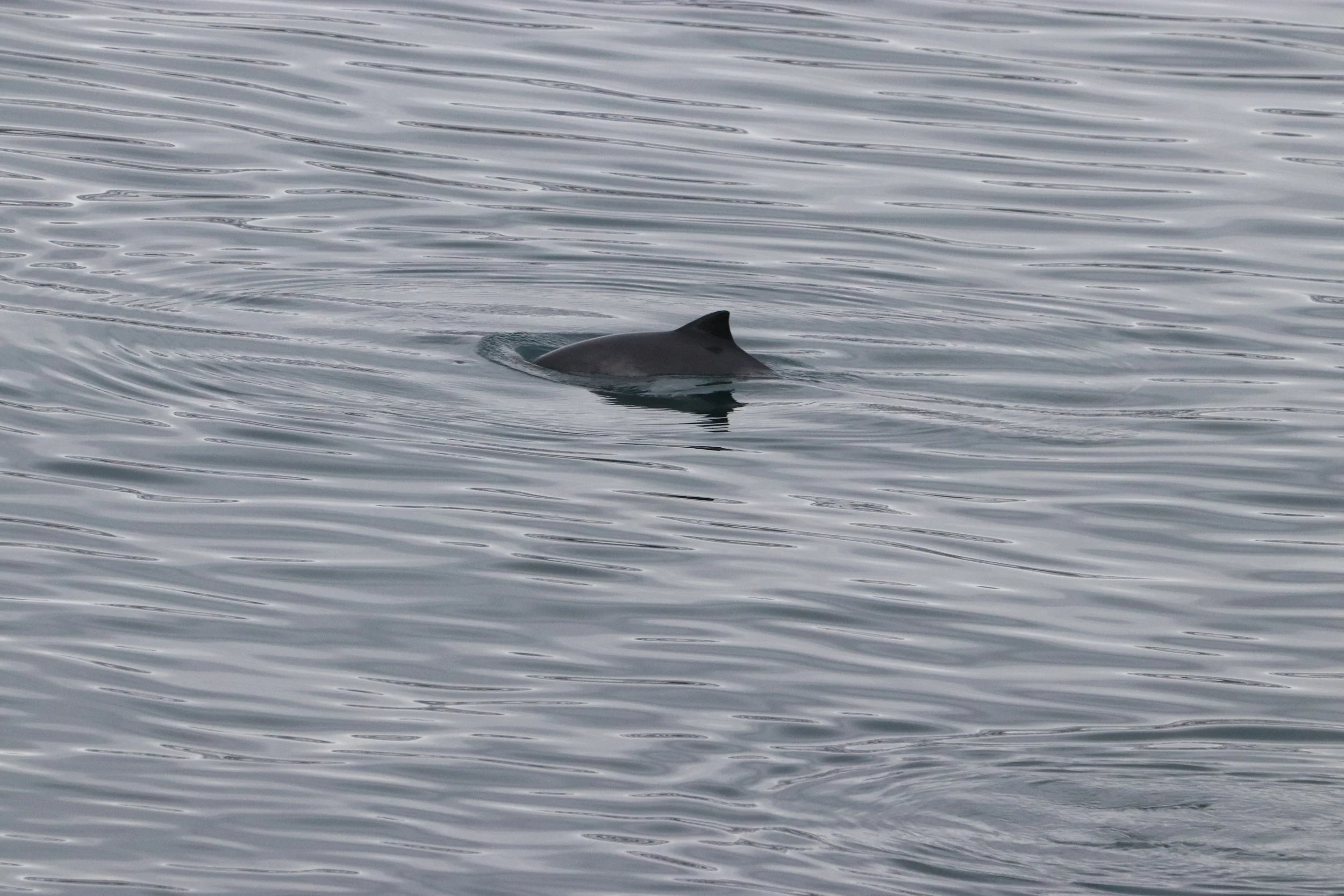 2019_03_01_0900_HOL_ALBERTO (5).JPG