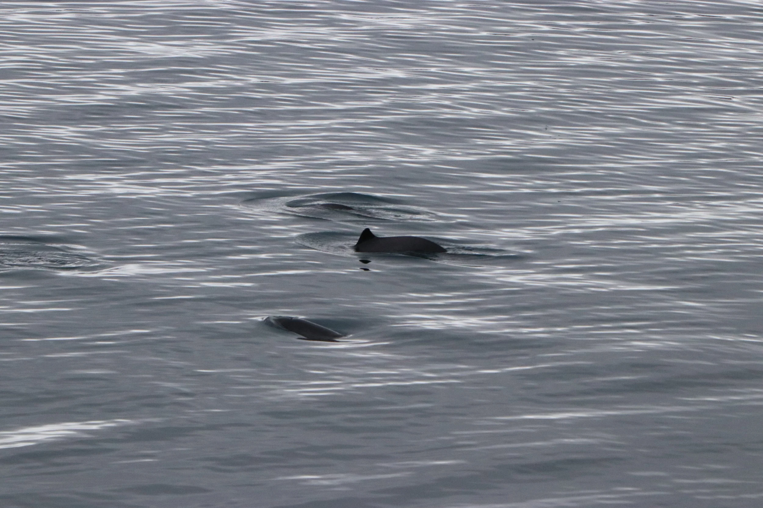 2019_03_01_0900_HOL_ALBERTO (6).JPG