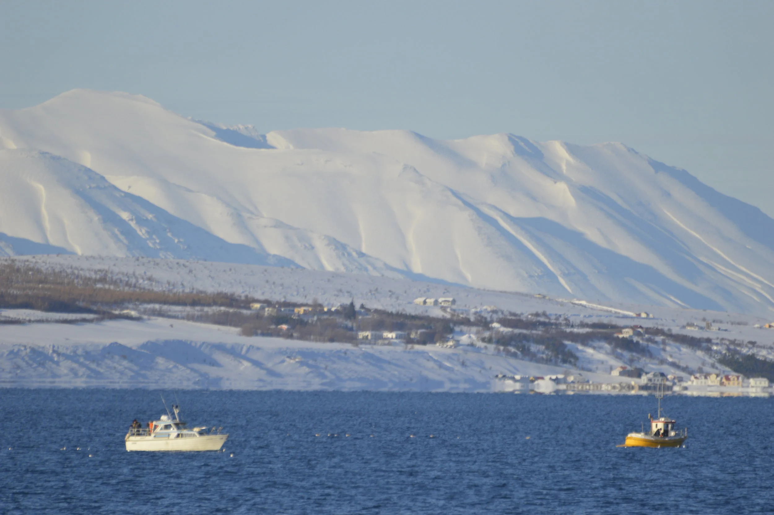 2019_02_19_1300_HOL_ANIA (4).JPG