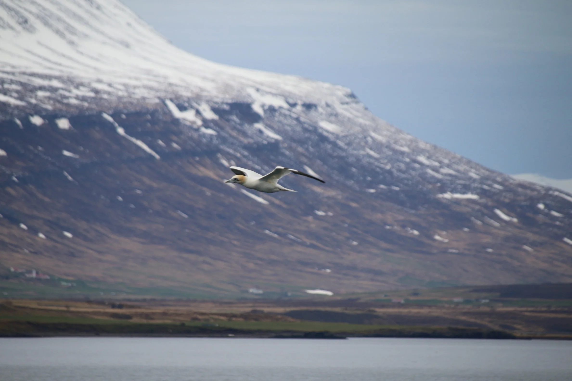 2019_05_13_1300_HOL_BABSI (17).JPG