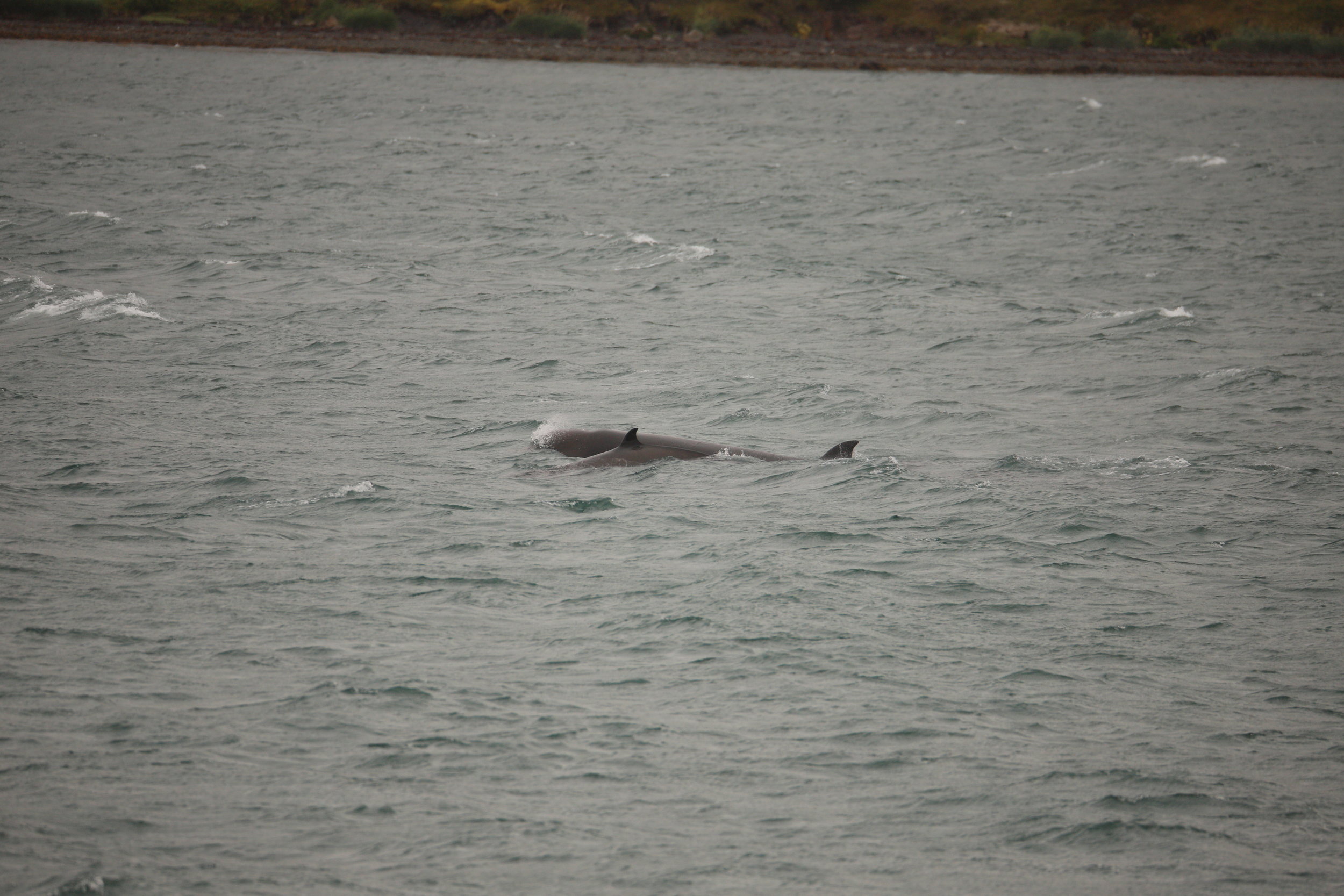 2019_08_09_1300_HOL_RODRIGO (39).JPG