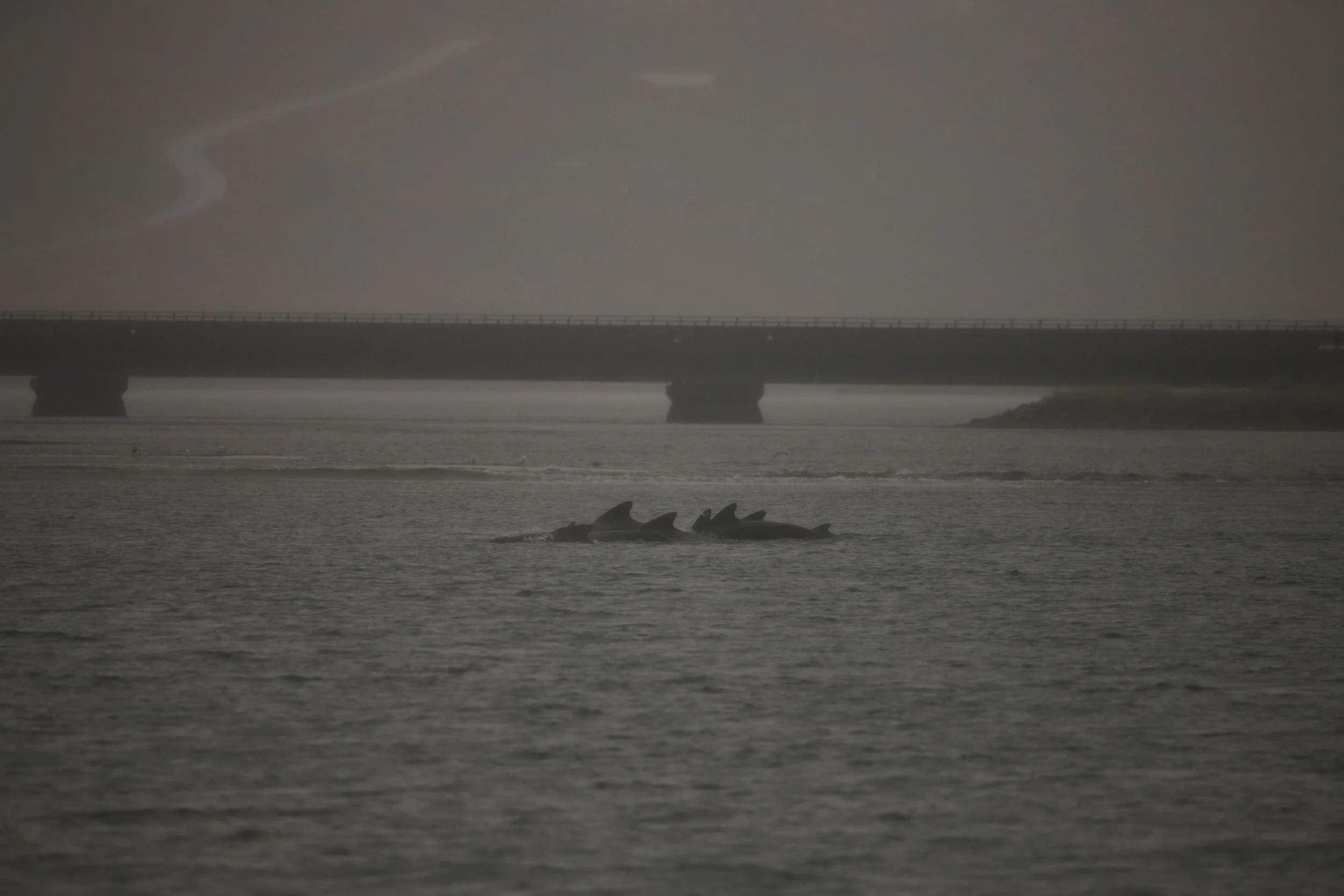 2019_08_12_1300_HOL_RODRIGO (31).JPG