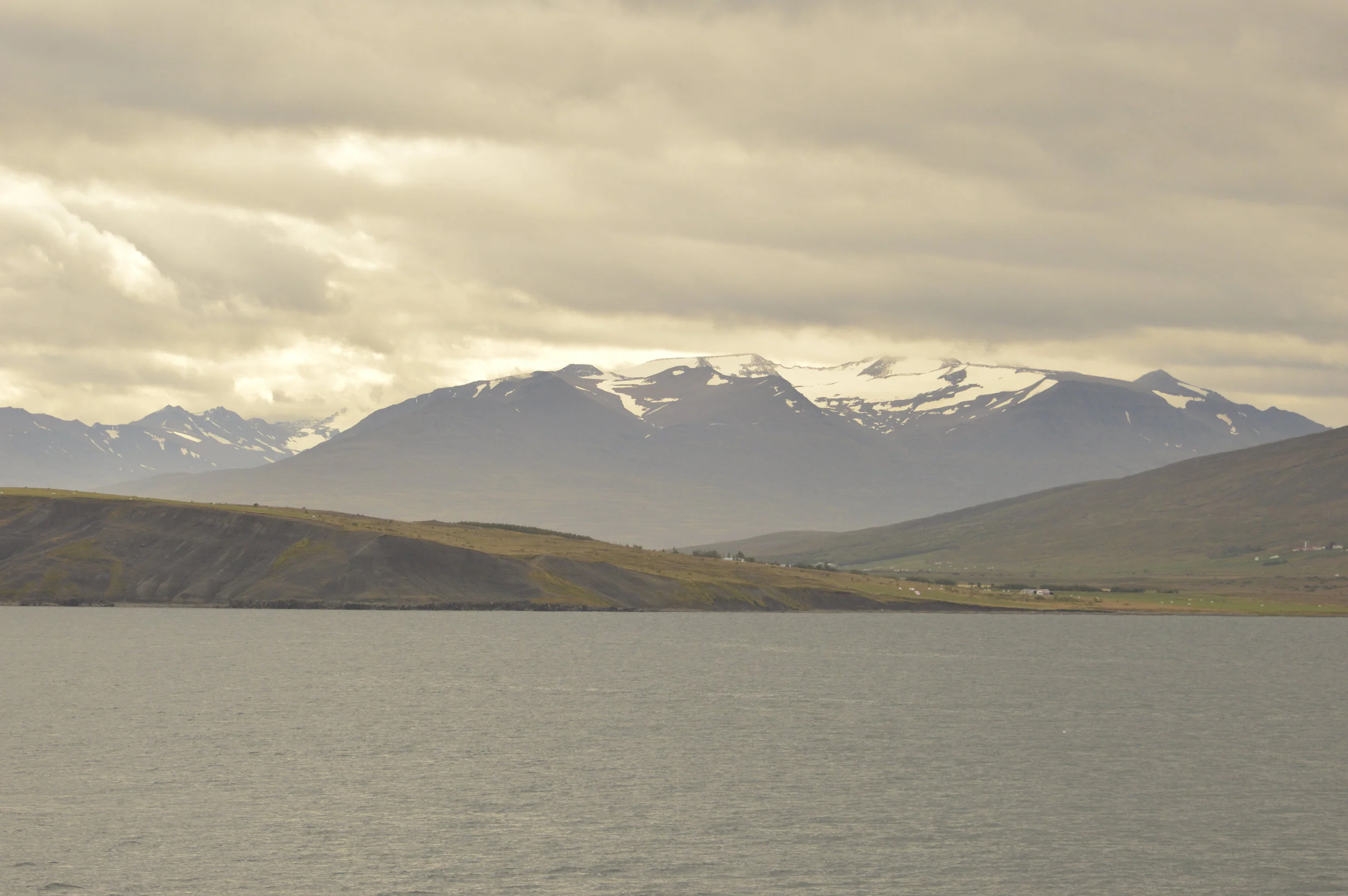 2019_09_06_1300_HOL_Anouk (1).JPG