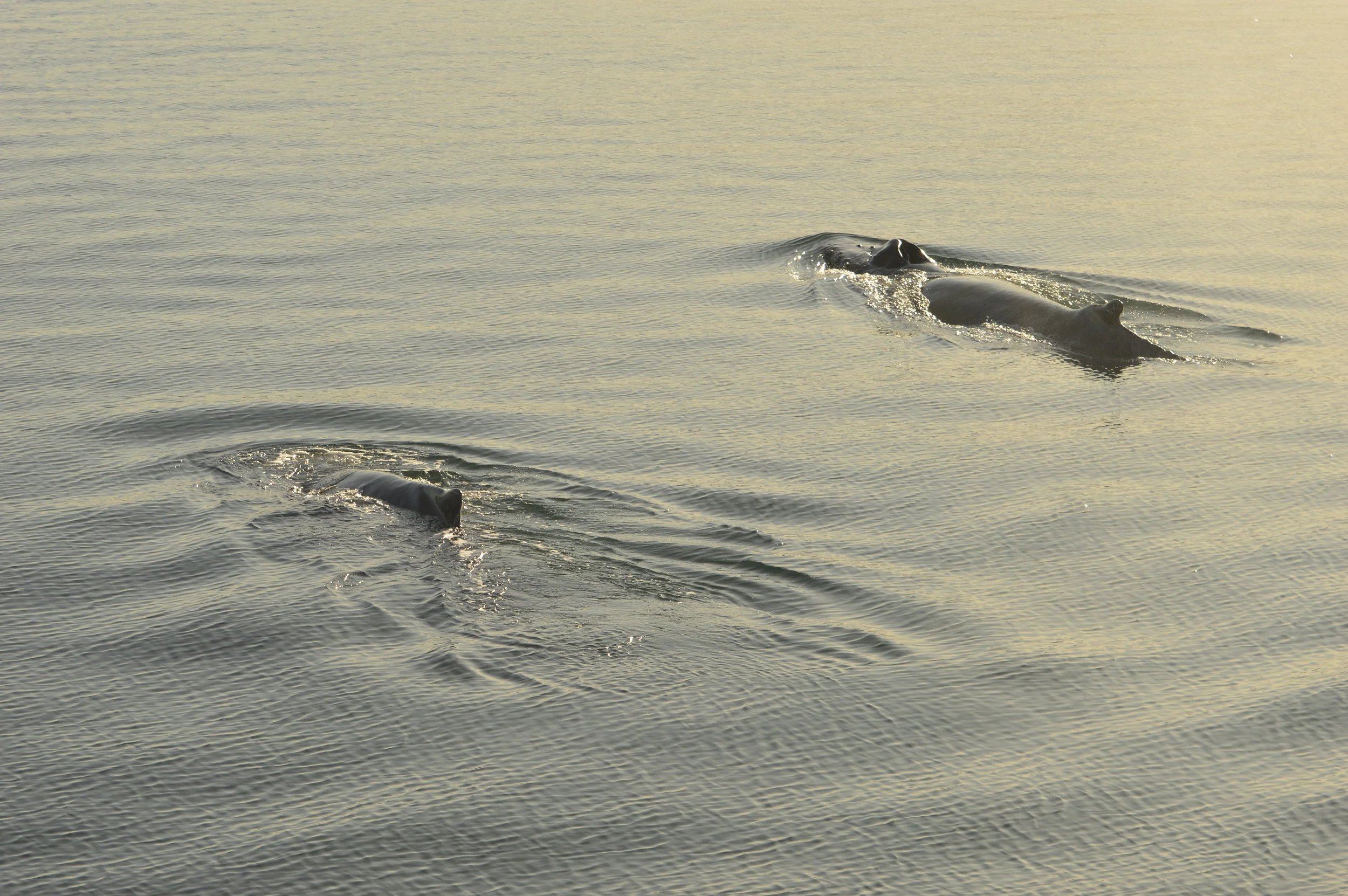 2019_09_29_1300_KON_Barbara (121).JPG