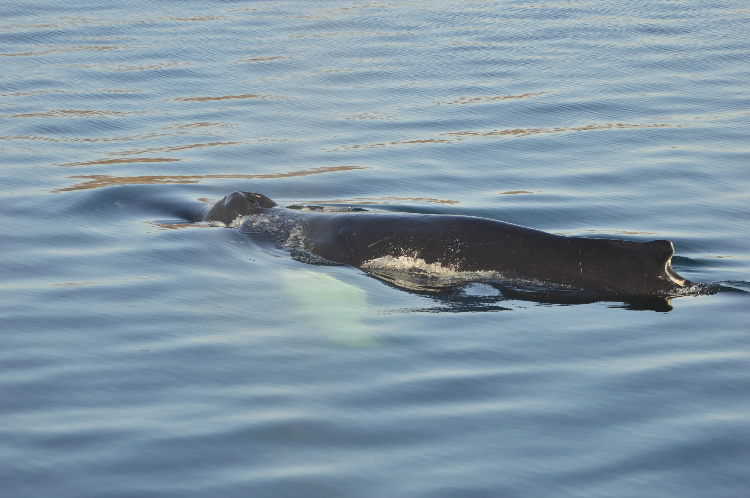 2019_09_29_1300_KON_Barbara (17).JPG