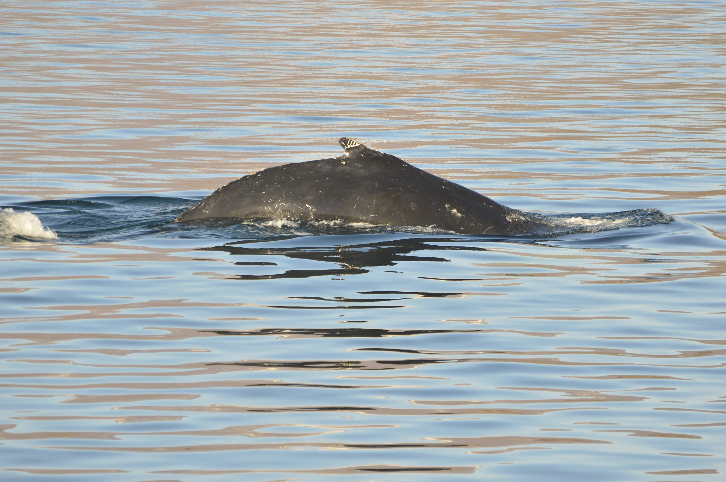 2019_09_29_1300_KON_Barbara (38).JPG