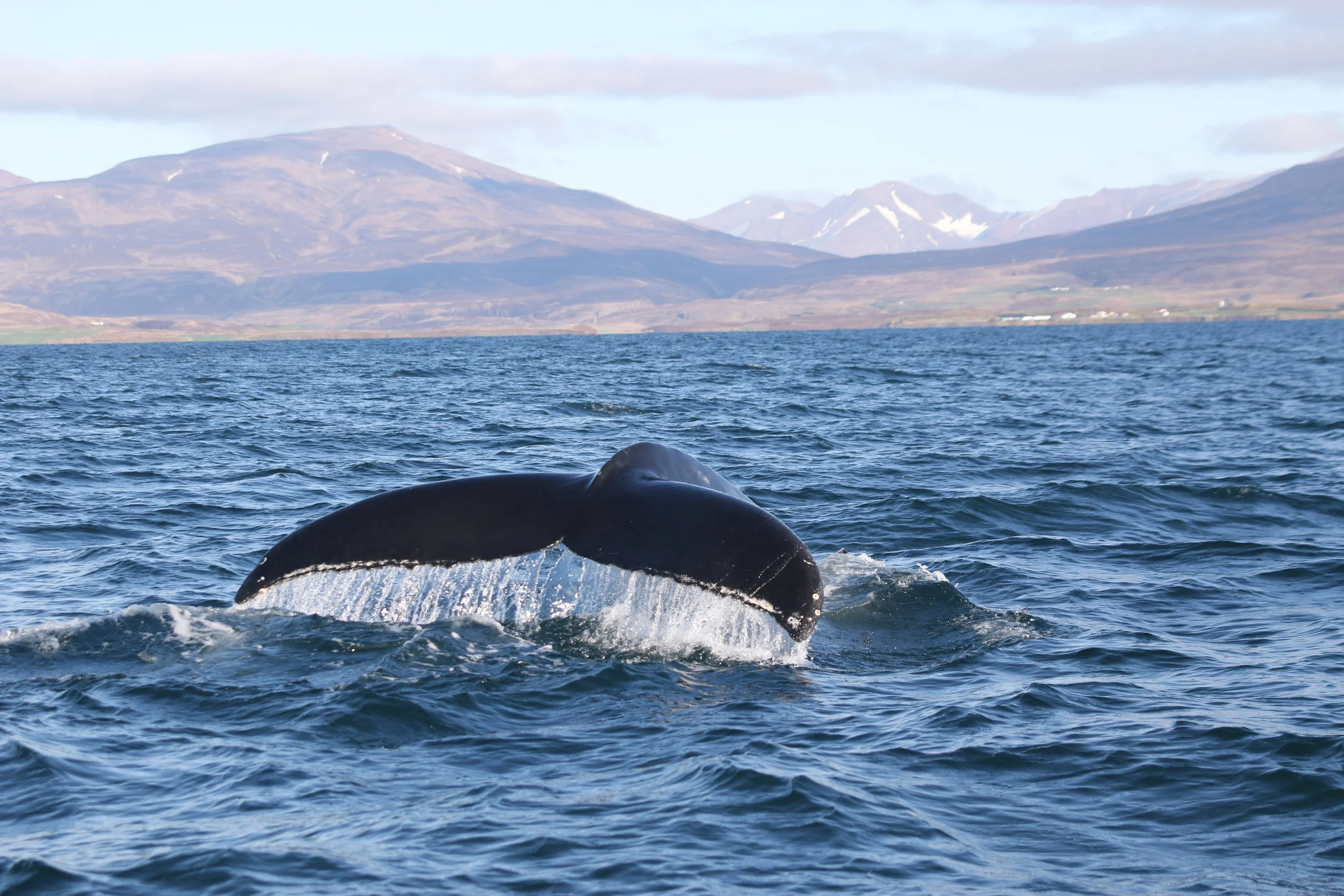 2019_10_01_1000_SOL_TESS (24).JPG