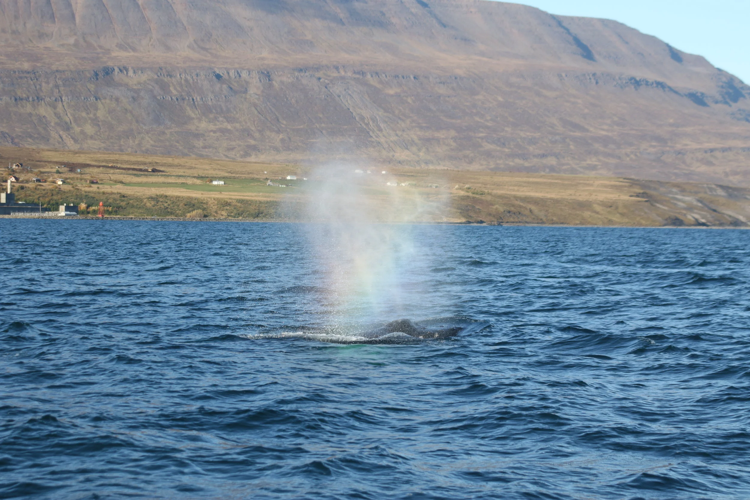 2019_10_01_1000_SOL_TESS (4).JPG