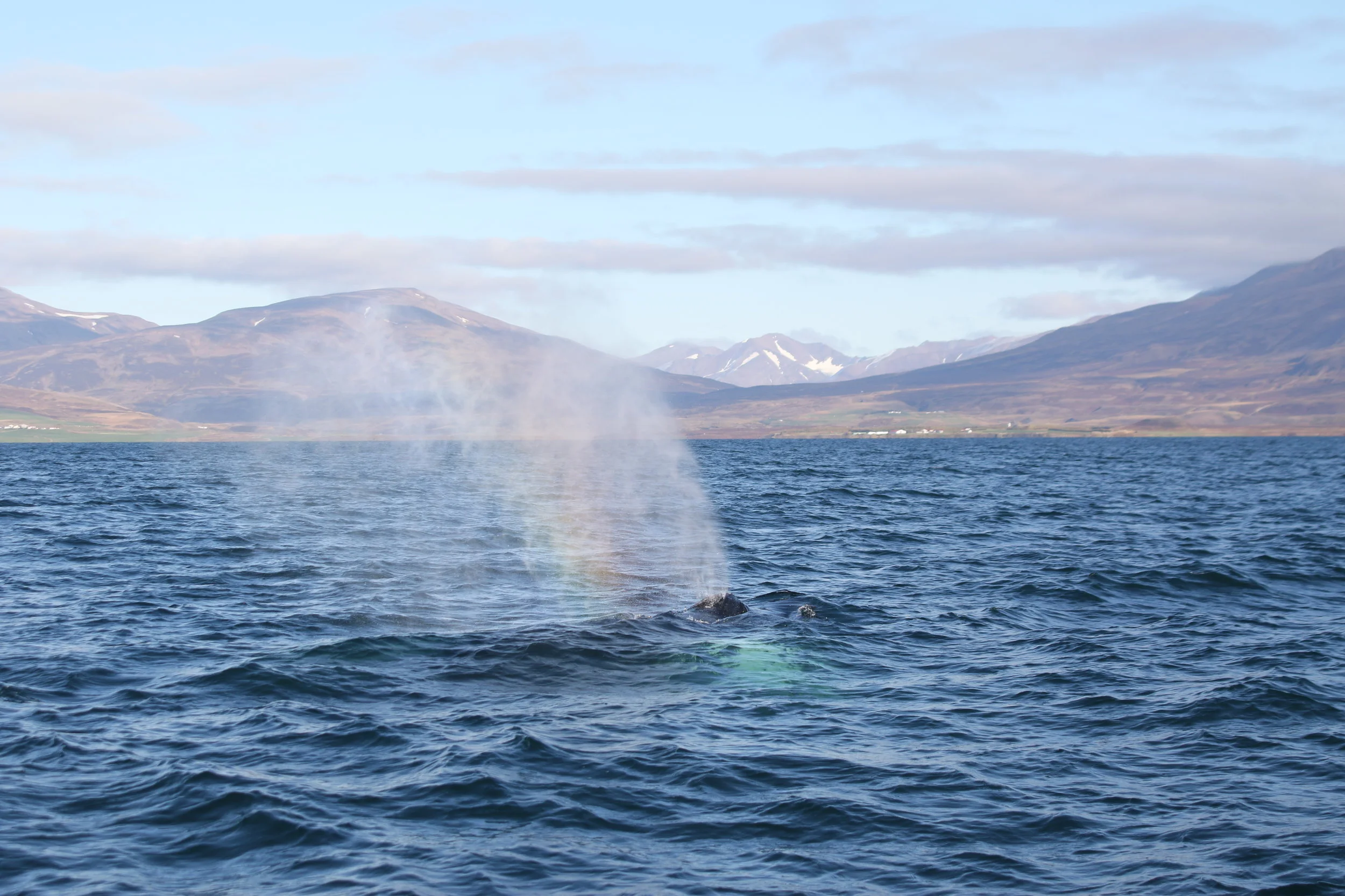 2019_10_01_1000_SOL_TESS (21).JPG