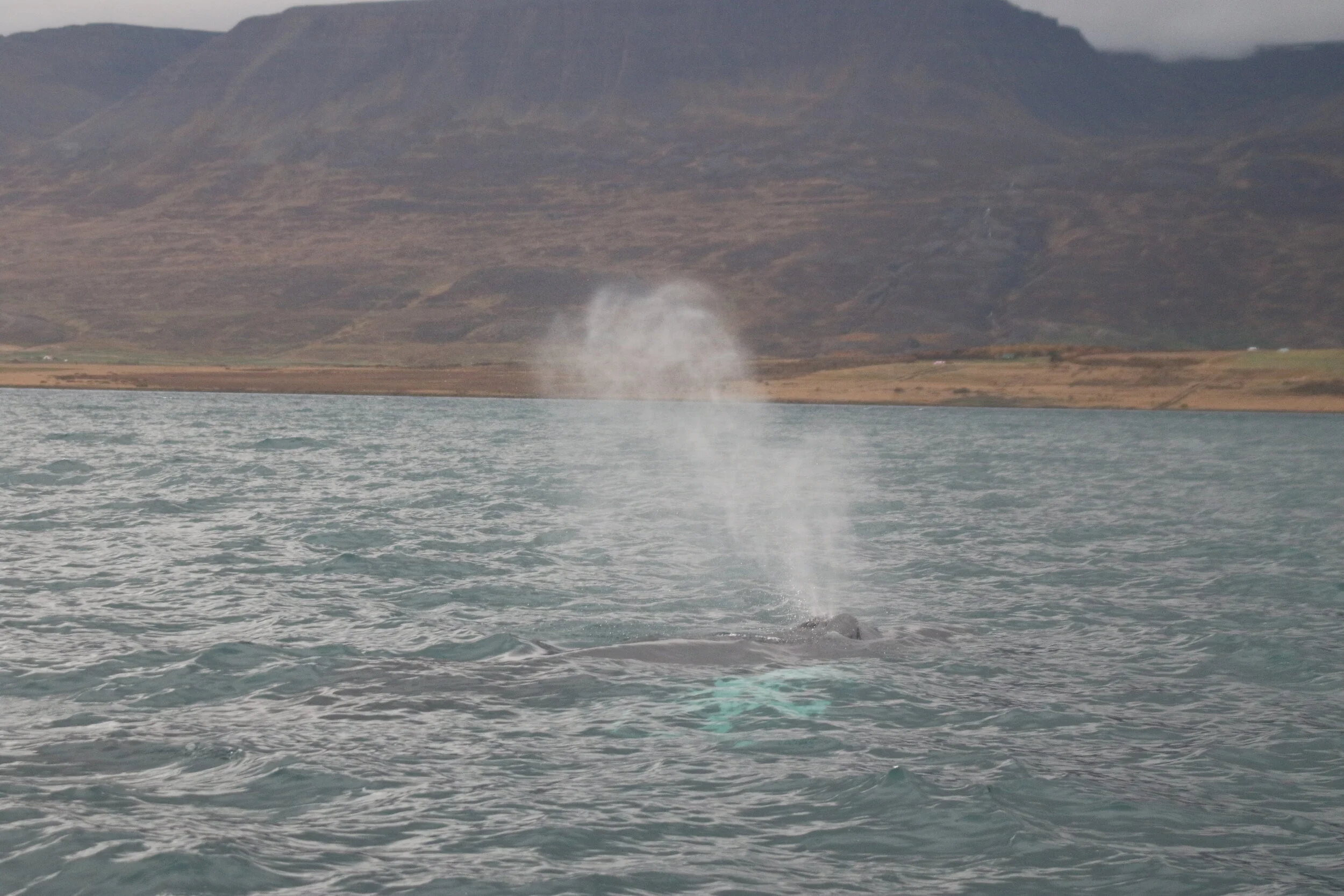 2019_10_07_1000_SOL_TESS (16).JPG