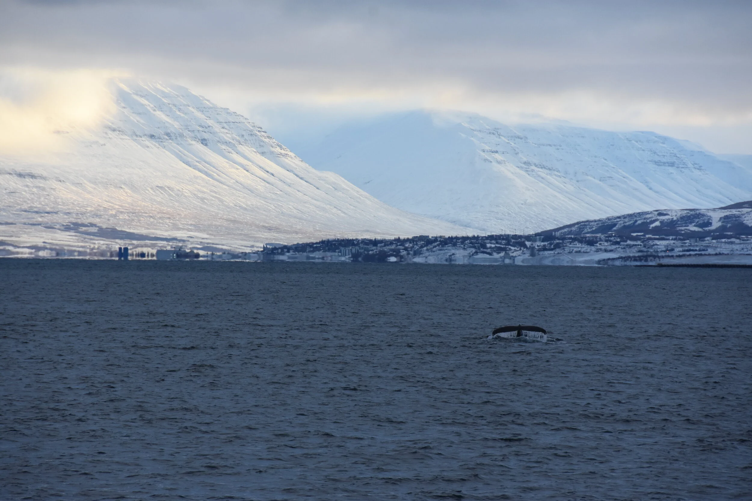 DSC_3189.JPG