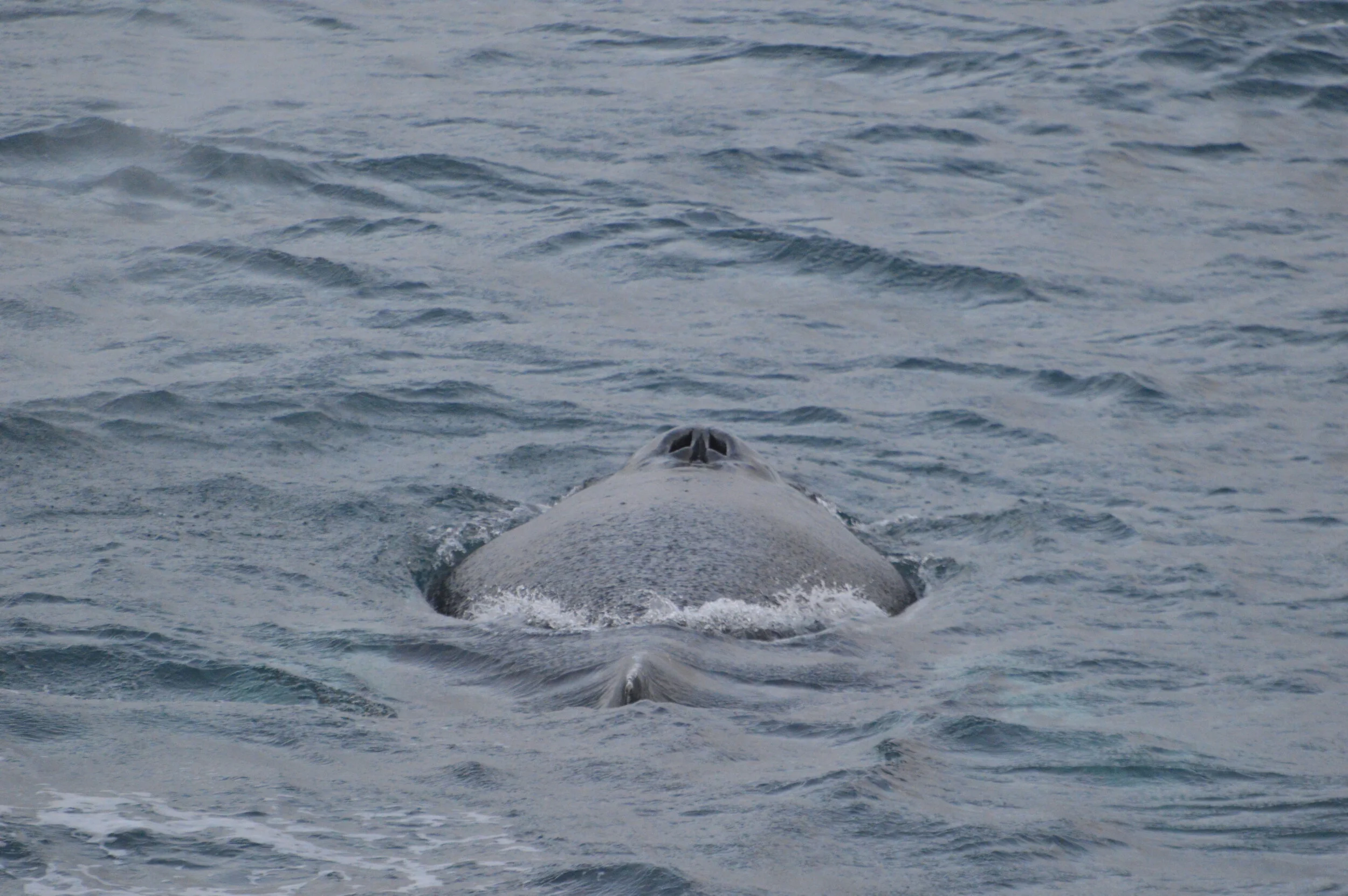 2019_11_29_1300_KON_ANIA (10).JPG